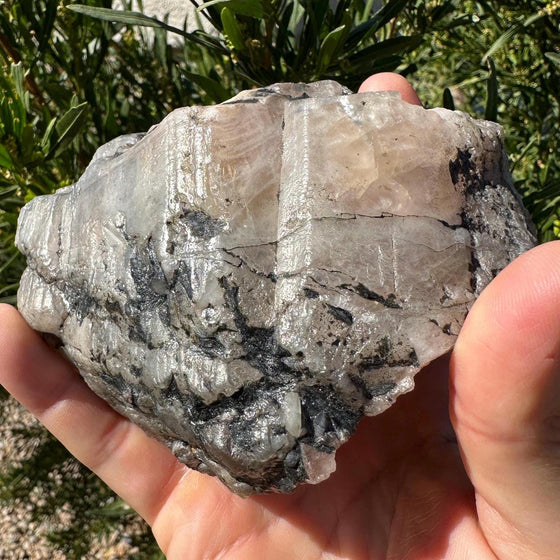 Large Brazilian Phenacite Crystal, Metaphysical Specimen (1 lbs 7.4 oz)