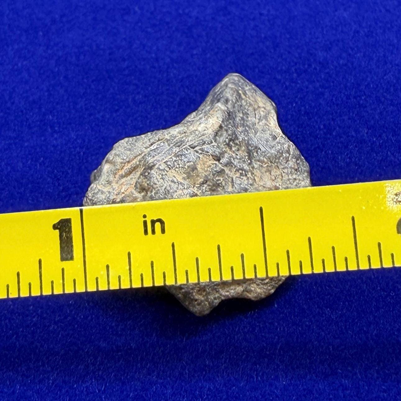 Tisserlitine 003 Lunar Meteorite: Feldspathic Breccia Moon Rock, 4.43 grams