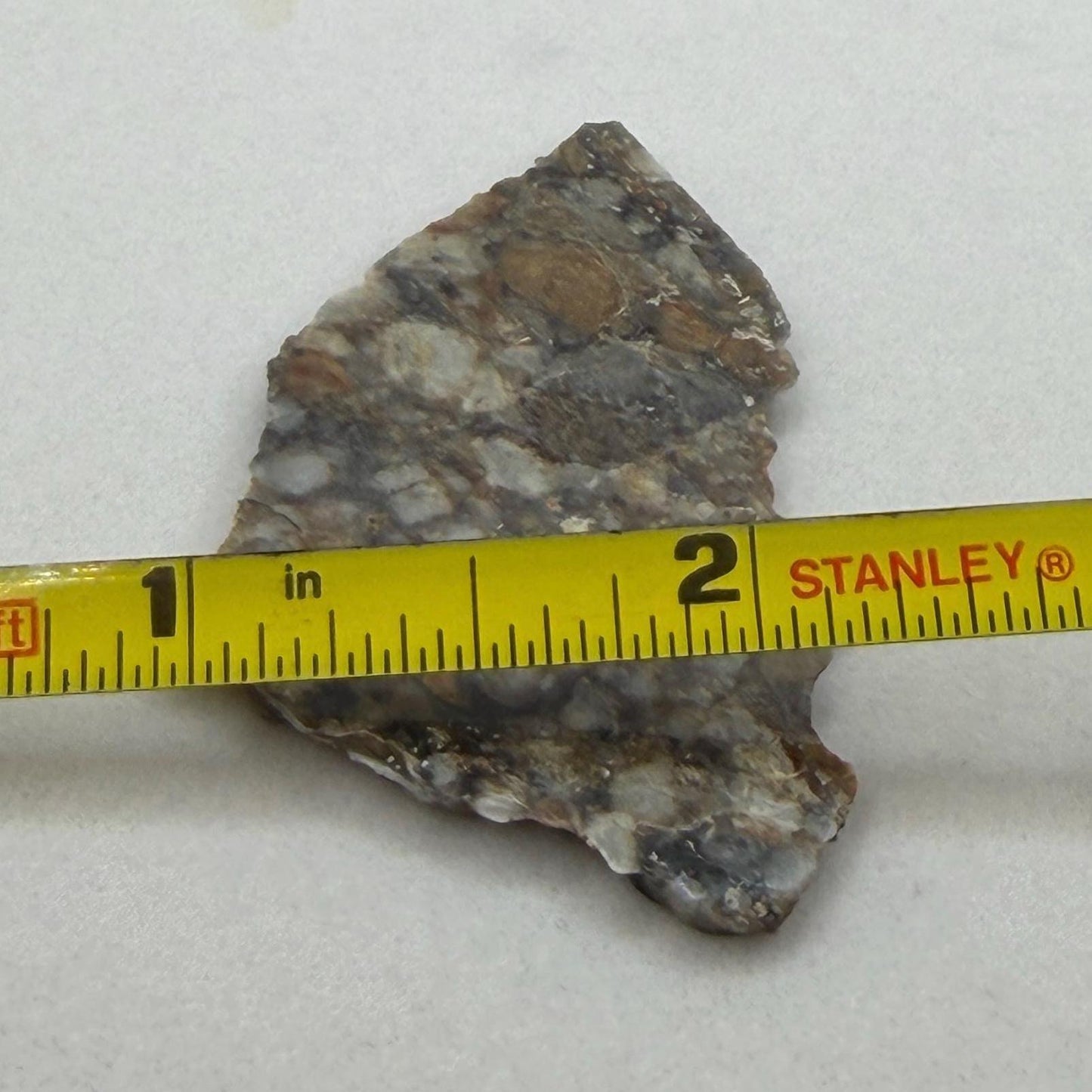 NWA 18045 Lunar Meteorite Slice, Newly Classified, Translucent, Authentic Moon Rock, Melt Breccia, 6.36 grams