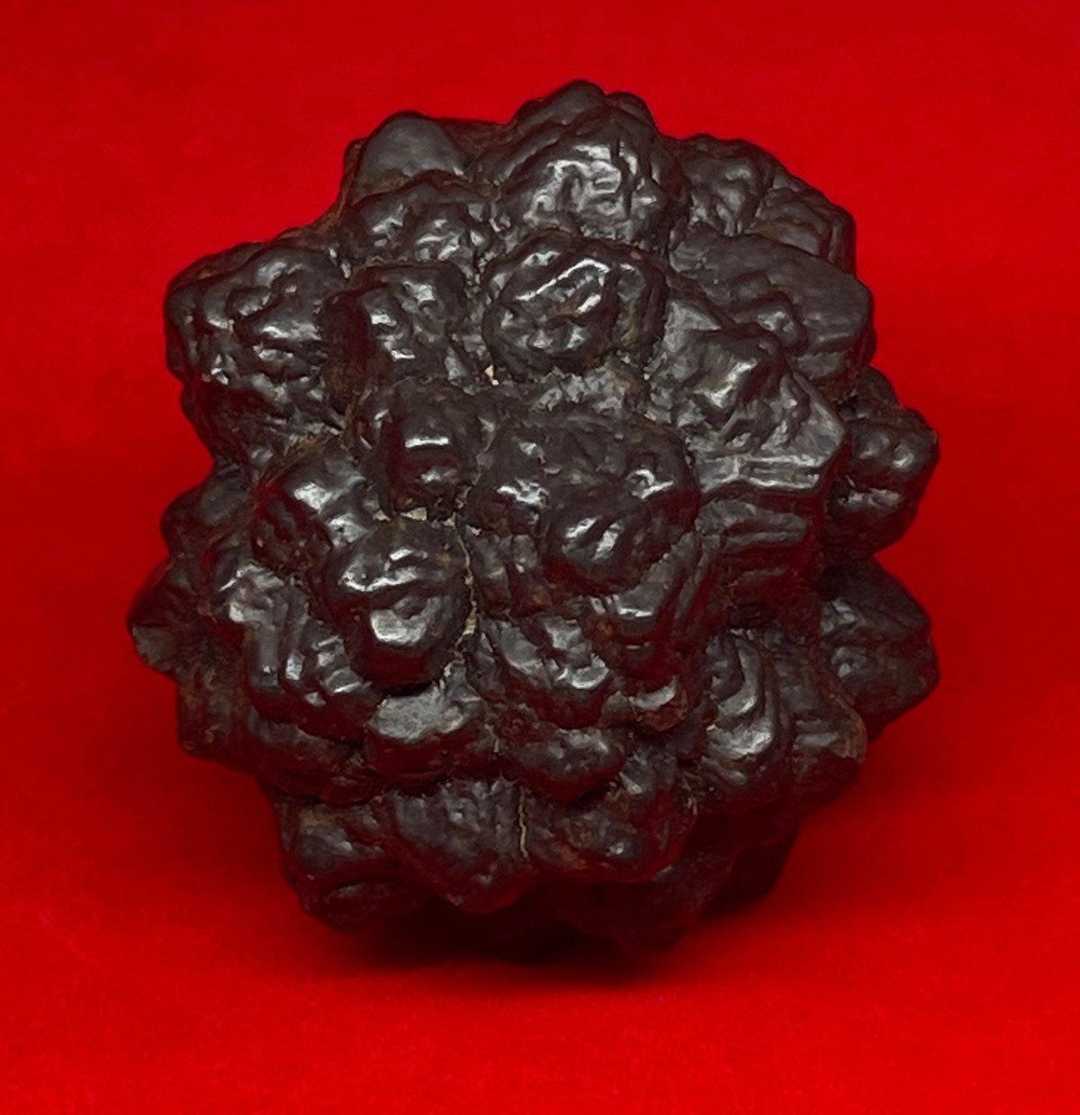 Prophecy Stone: Egypt, Round Z Stone for Dreamwork and Reiki, 63.79 grams