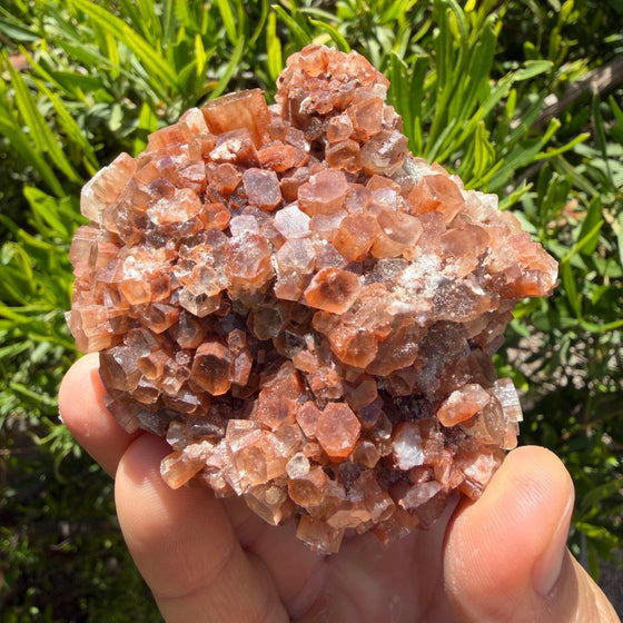 Large Aragonite Star Cluster Crystal Specimen, 337 grams/12oz