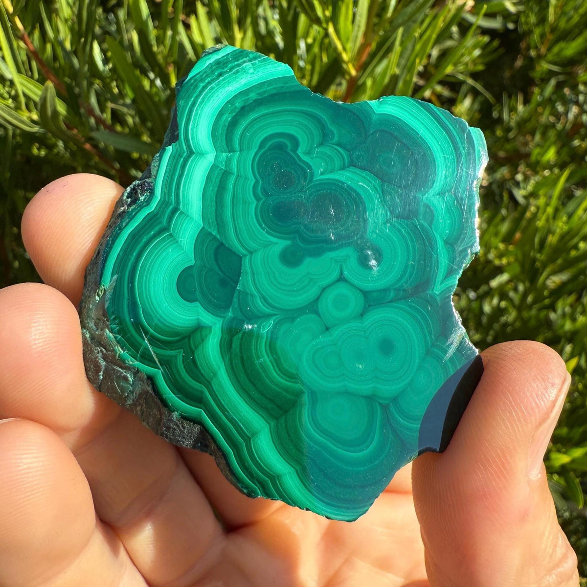 Polished Malachite Slice: Healing Crystal, Heart Chakra Stone, 49.85 grams