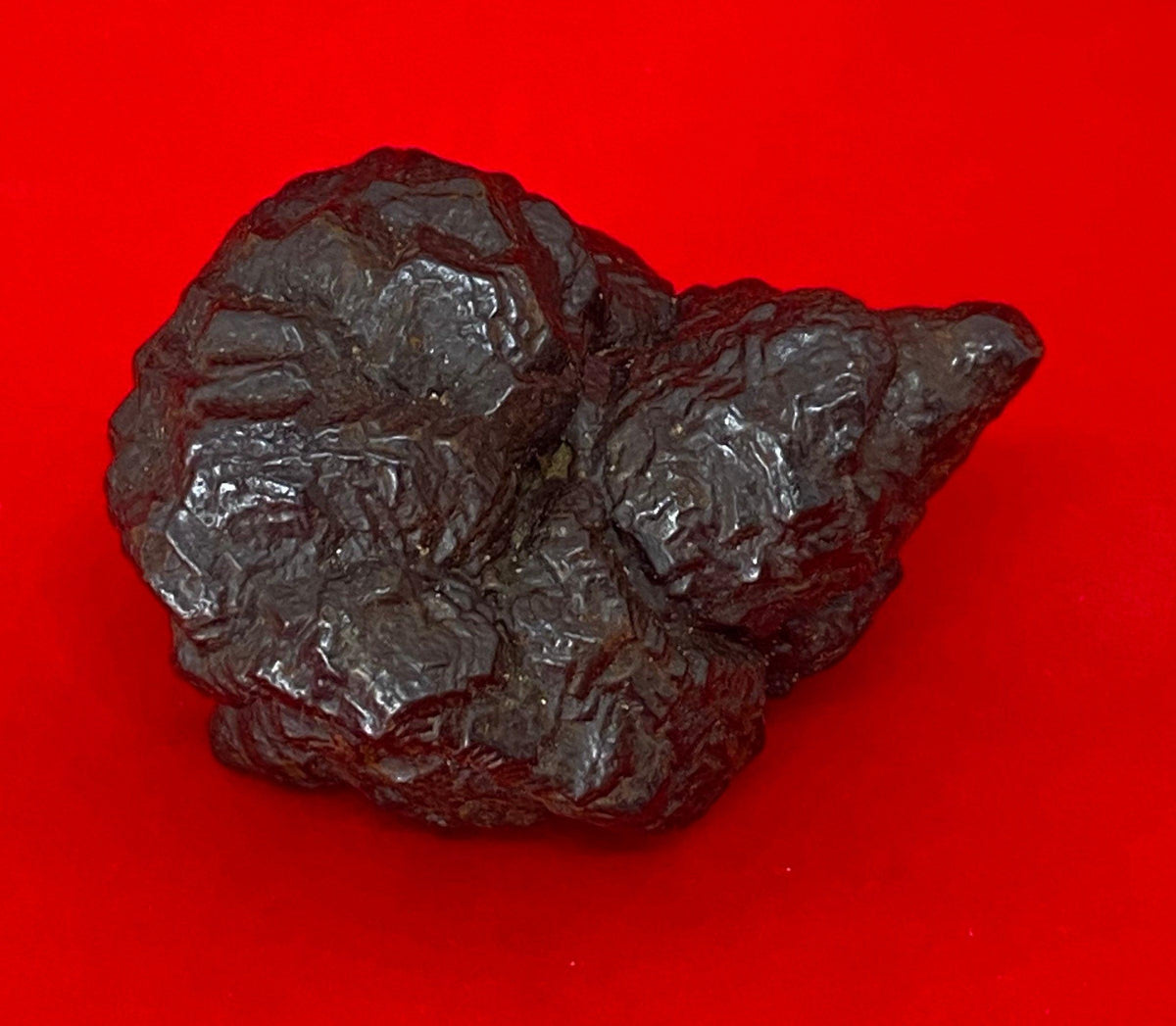 Rare Egyptian Prophecy Stone: Conch Shell Shape, 76.31 grams