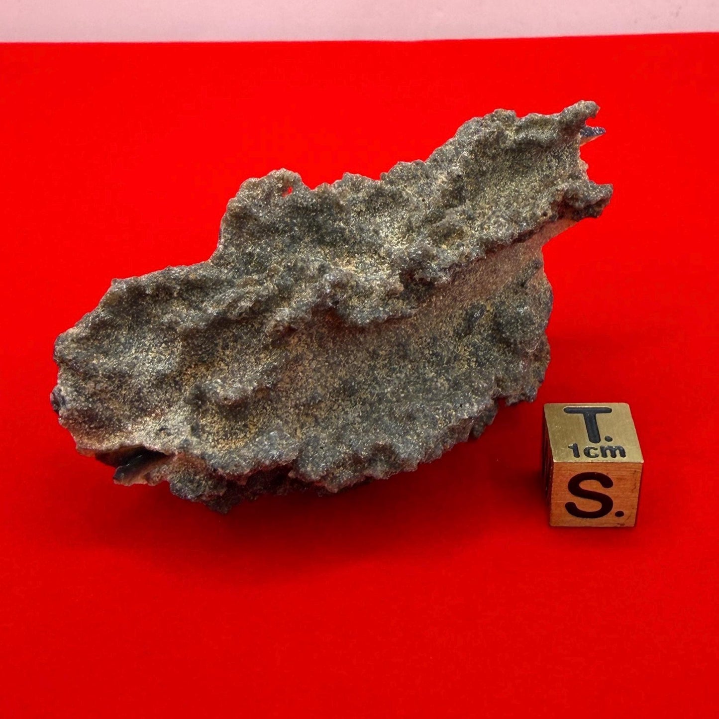 Sahara Desert Fulgurite: Lightning Glass, Fossilized Lightning, Energy Work, 13.12 grams