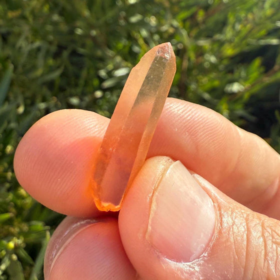 Brazilian Tangerine Quartz Crystal Point: Raw Orange Healing Stone