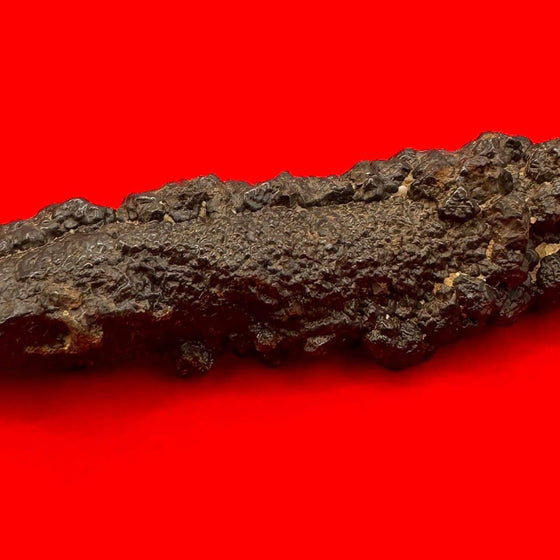 Elongated Prophecy Stone from Egypt: Authentic Z Stone, 37.16 grams