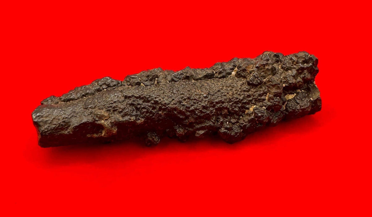Elongated Prophecy Stone from Egypt: Authentic Z Stone, 37.16 grams