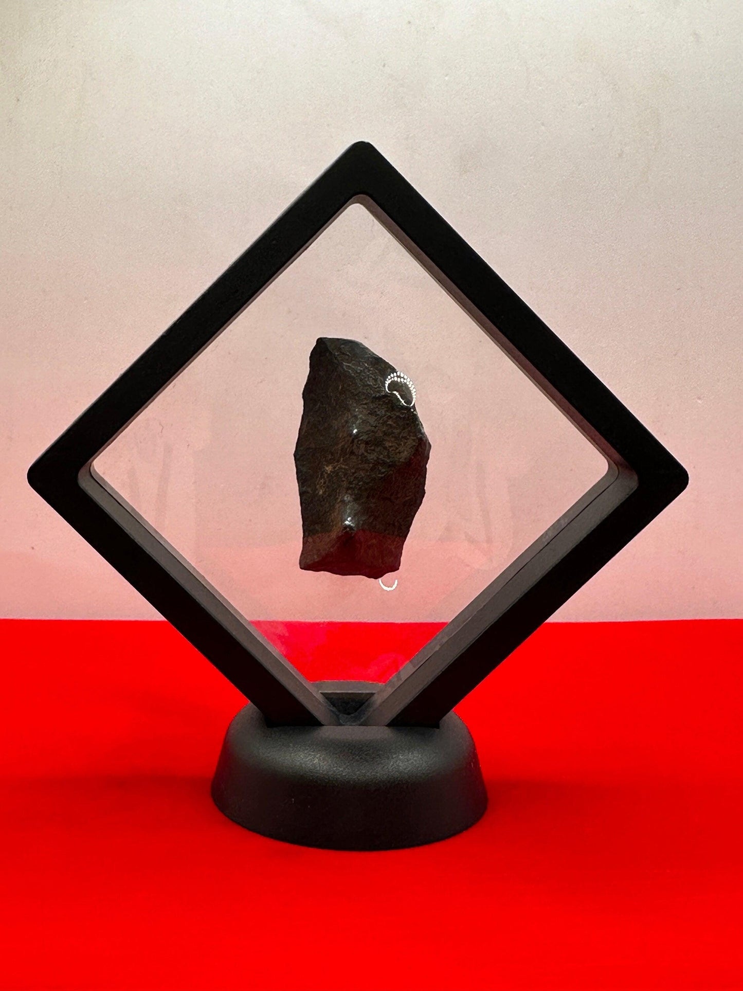 Canyon Diablo Meteorite Specimen, Arizona, 52.96 grams, Rare Meteorite, Iron Meteorite, Astronomy Gift, Space Gift, Arizona Meteorite