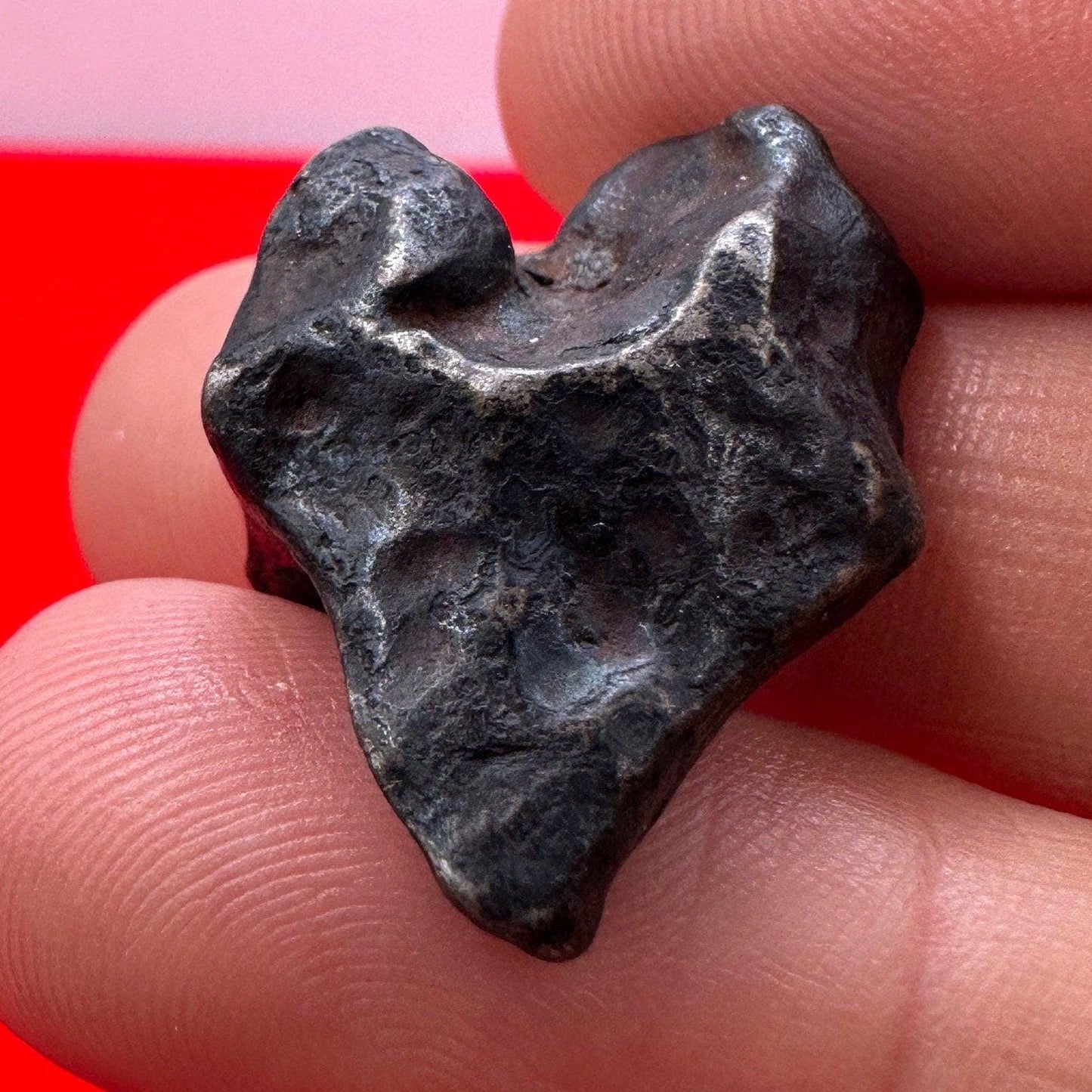 Rare and Unique Agoudal Meteorite Specimen, grams, Iron Meteorite, Astronomy Gift, Space Gift, Iron Meteorite, 13.57 grams, From Space