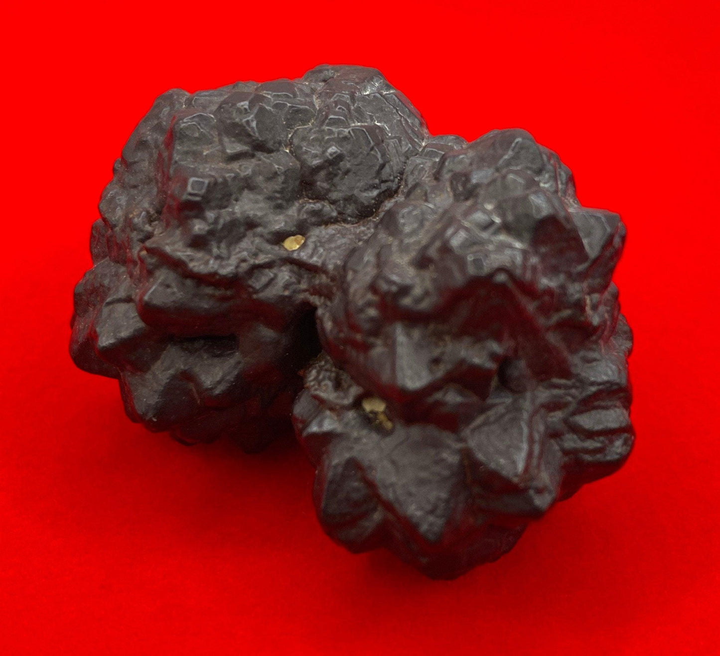 Rare Double Cluster Prophecy Stone from Egypt with a single horn, Inner Vision, Dreamwork stone, Energy Work, Rock Collection, 68.86 grams