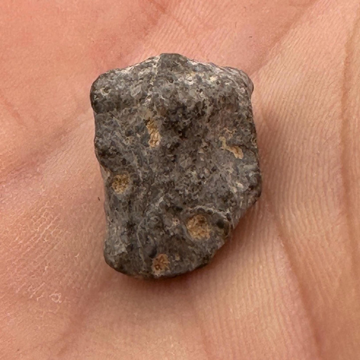 NWA 13974 Moon|Lunar Meteorite, Feldspathic Breccia, Moon Meteorite, Meteorite Collection, Lunar Feldspathic Breccia, 2.04 grams