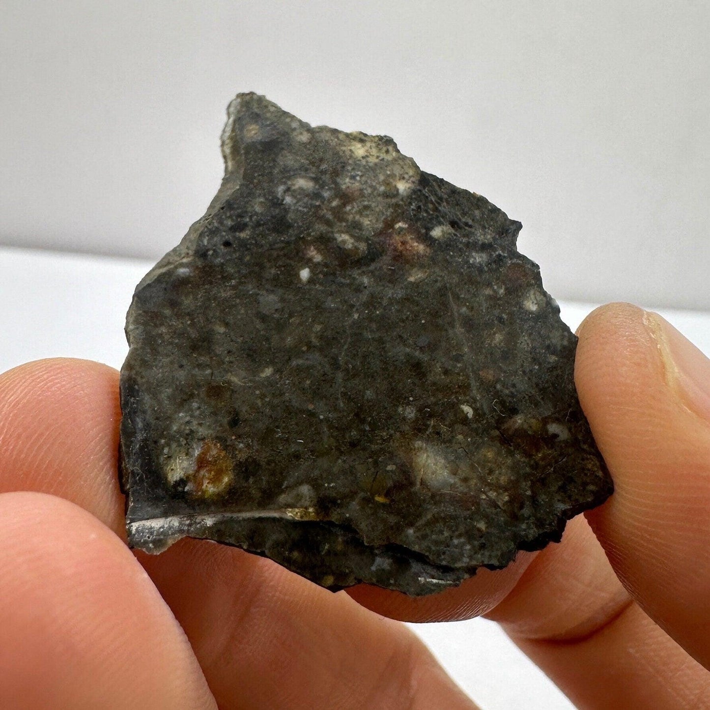 NWA 11182 Moon|Lunar Meteorite Slice, Rare Moon Meteorite, Moon, Astronomy Gift, Meteorite Collection, Feldspathic Breccia, 3.64 grams