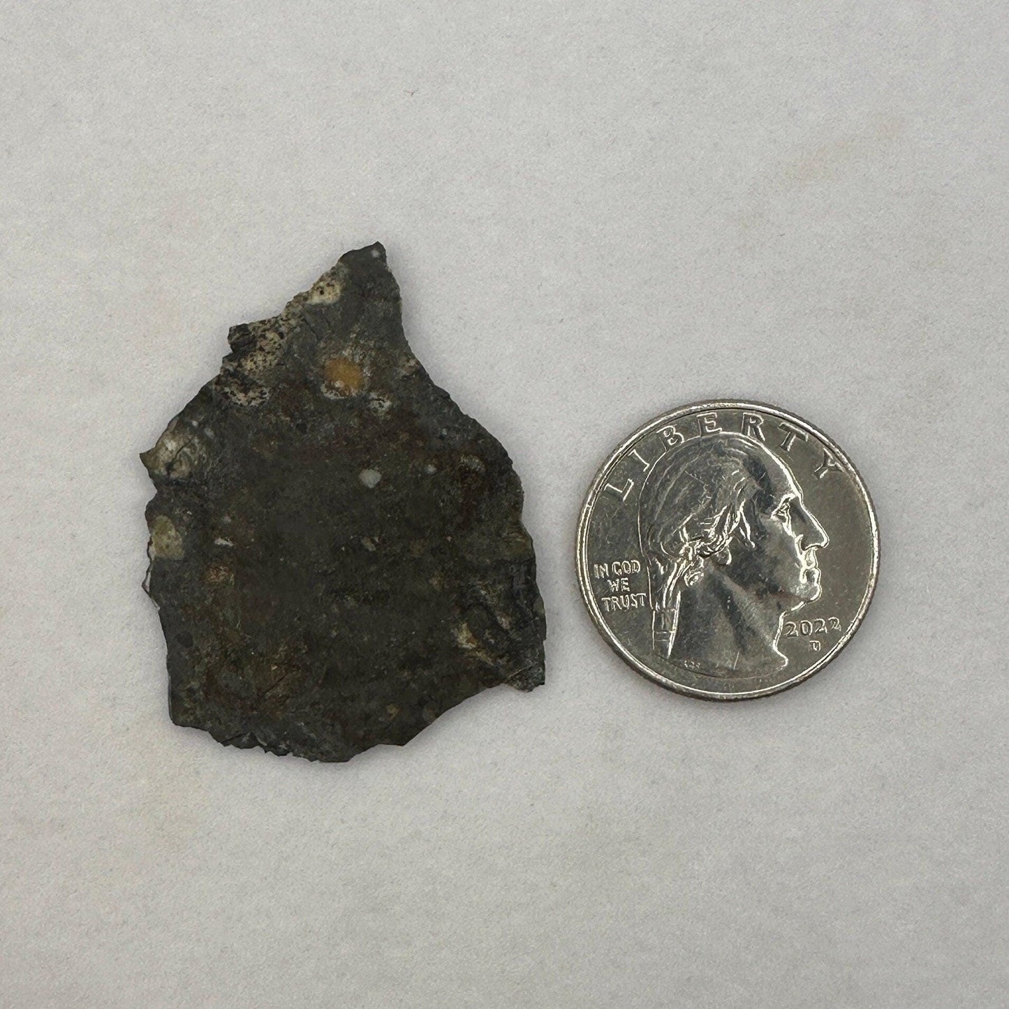 NWA 11182 Moon|Lunar Meteorite Slice, Rare Moon Meteorite, Moon, Astronomy Gift, Meteorite Collection, Feldspathic Breccia, 3.64 grams