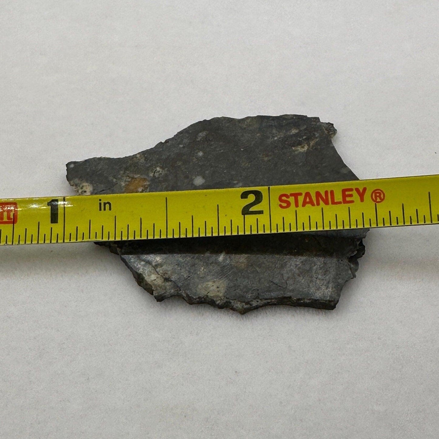 NWA 11182 Moon|Lunar Meteorite Slice, Rare Moon Meteorite, Moon, Astronomy Gift, Meteorite Collection, Feldspathic Breccia, 3.64 grams