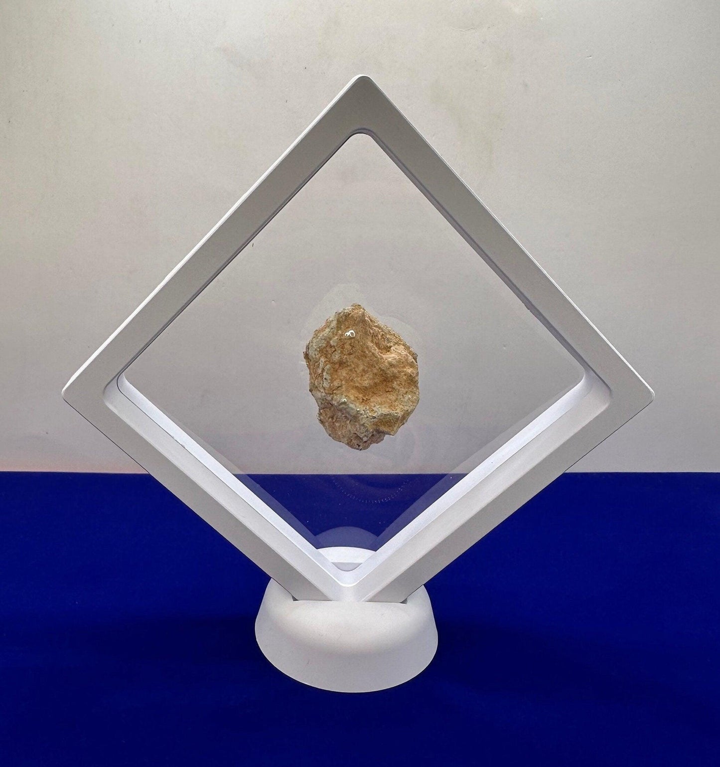 Display Cases, White Framed, Medium Display Cases, Lot of 3, Mineral 3D Display Case with stand, Meteorite Collection, Collection Display