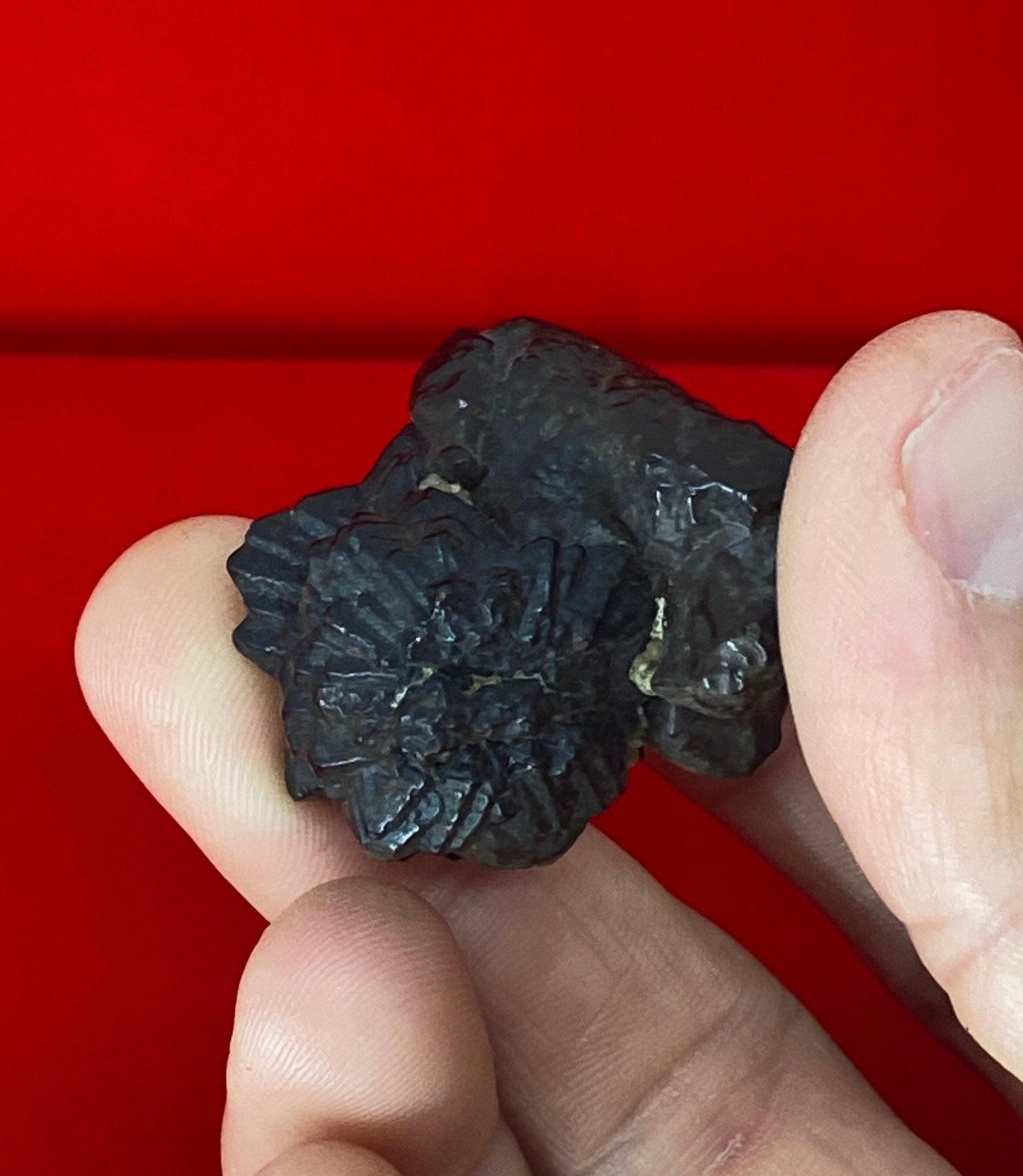 Rare Prophecy Stone from Egypt, Inner Vision, Dreamwork stone, beautiful Coral Like Form with Triangles and Hexagons,Rock Collection, 32.39g