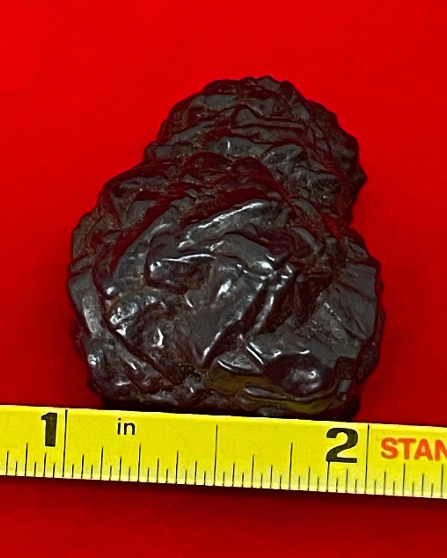 Prophecy Stone from Egypt, Inner Vision, Rounded form with circular shapes and Dreamwork stone, Such a unique shape and features 46.11g