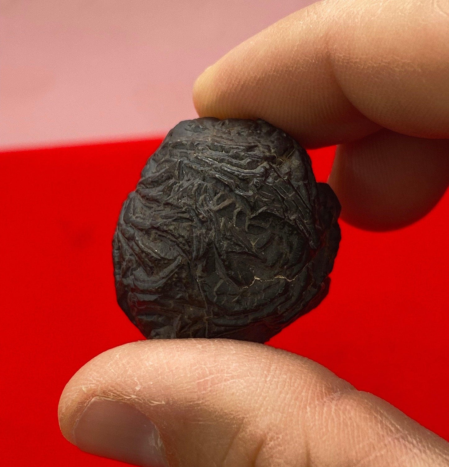 Prophecy Stone Cluster from Egypt, Rare and Unique Abstract Beehive Shape, Dreamwork stone, Reiki, Dreams, Rock Collection, 34.24 grams