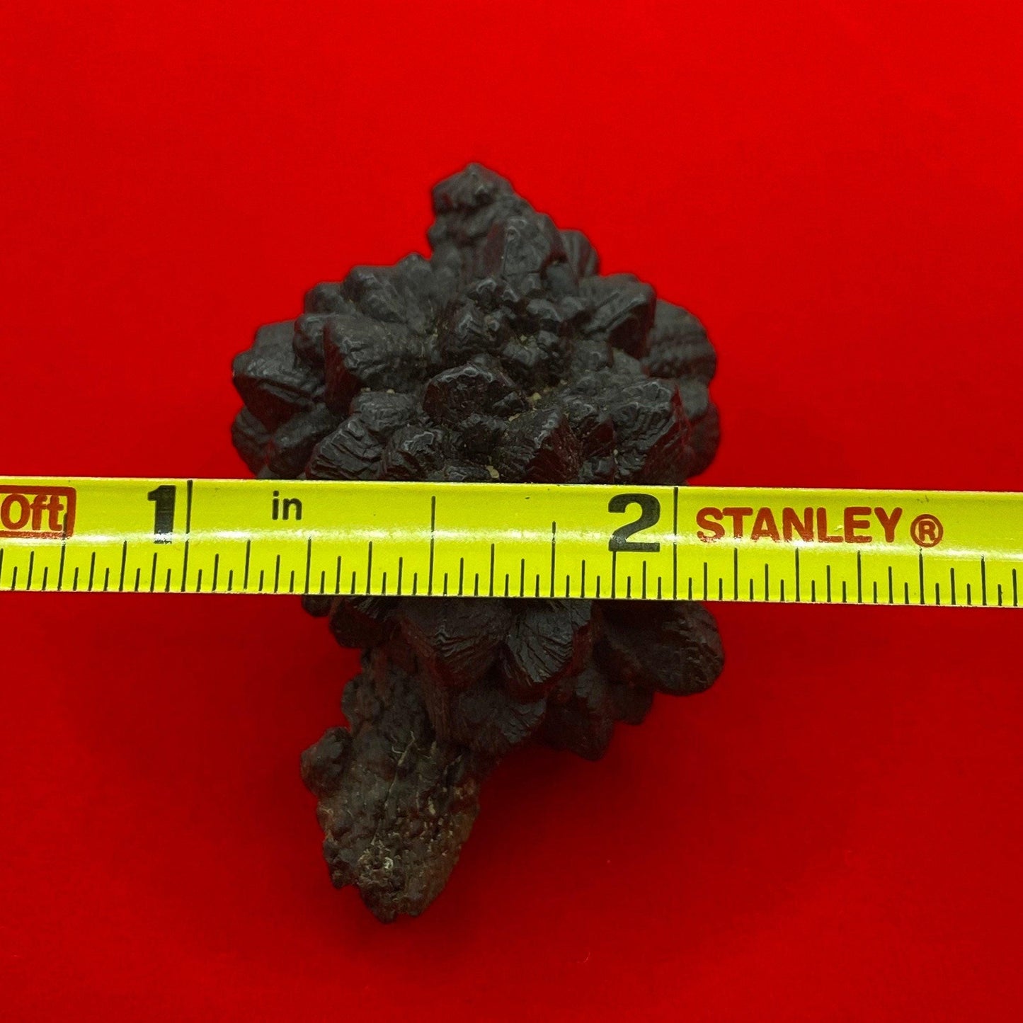 Prophecy Stone, Egypt, Inner Vision, Dreamwork stone, beautiful spiked shape with rare root, Dreams, Rock Collection, 41.87 grams