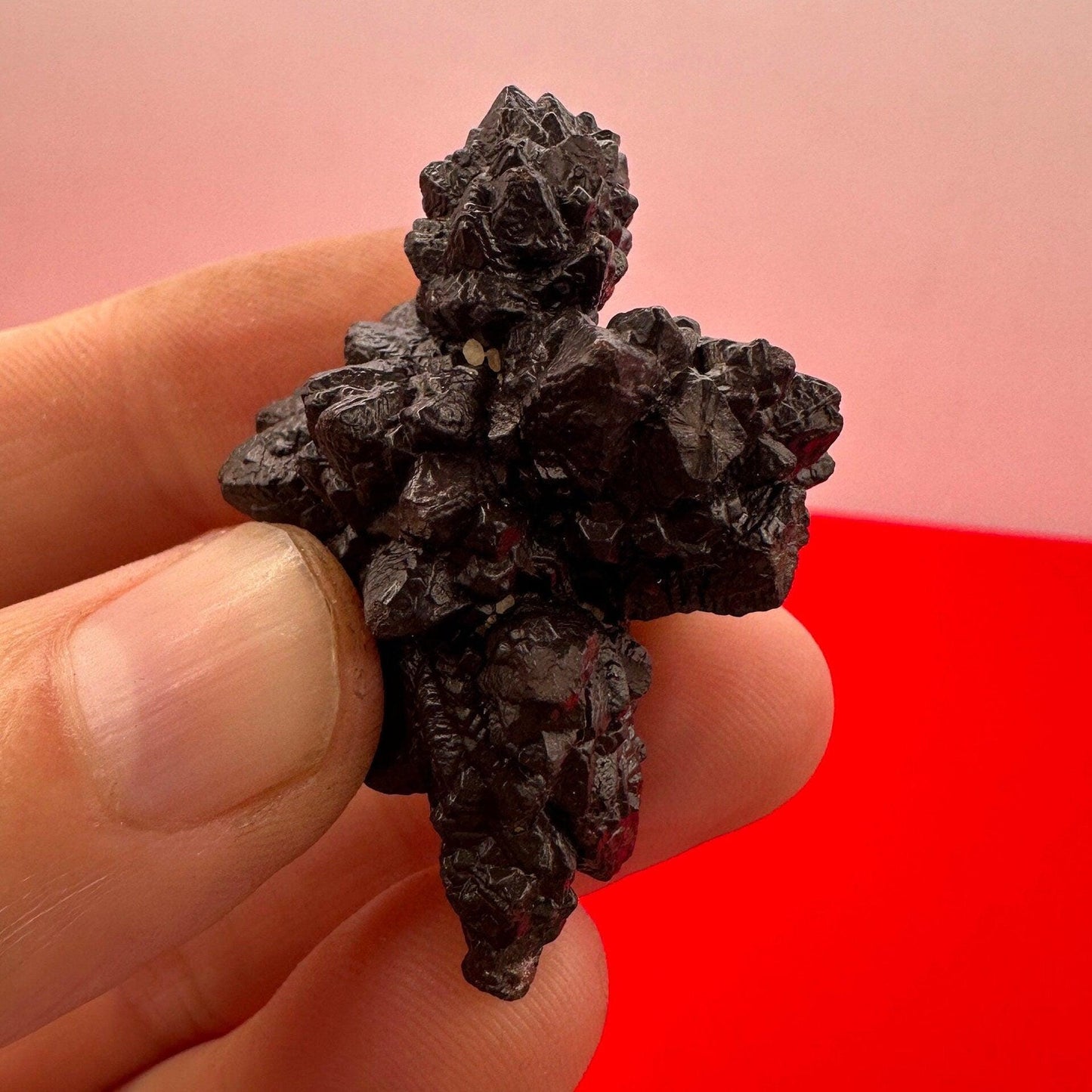 Rare Spiked Pinecone Record Keeper Prophecy Stone from Egypt, Inner Vision, Dreamwork stone, Reiki, Dreams, Rock Collection, 30.41 grams