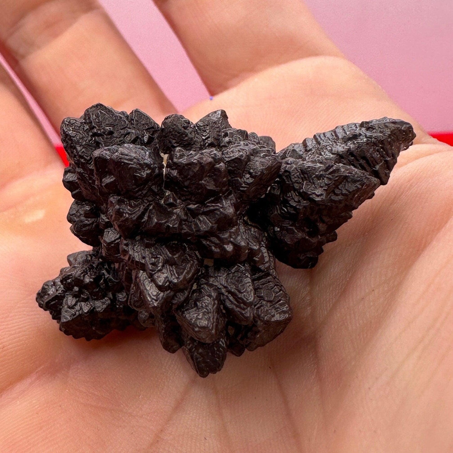 Rare Spiked Pinecone Record Keeper Prophecy Stone from Egypt, Inner Vision, Dreamwork stone, Reiki, Dreams, Rock Collection, 30.41 grams