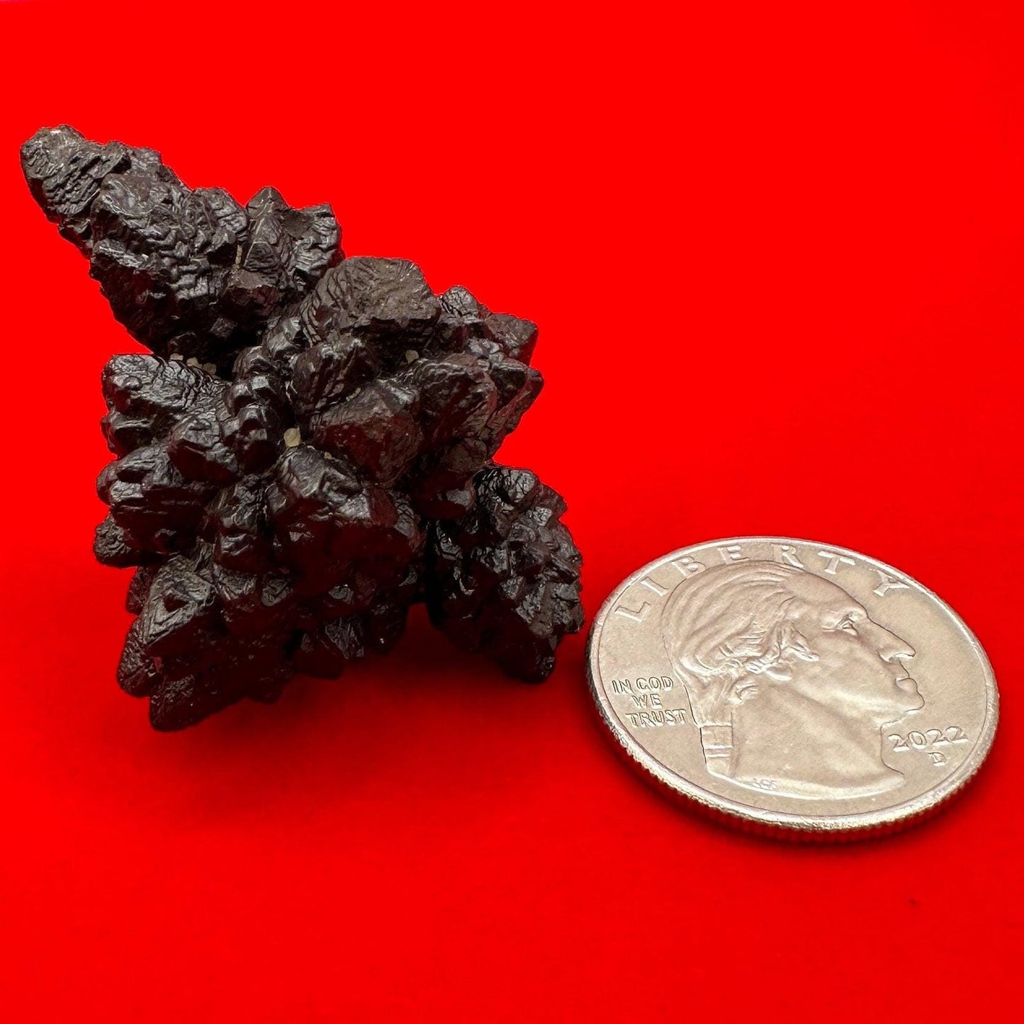 Rare Spiked Pinecone Record Keeper Prophecy Stone from Egypt, Inner Vision, Dreamwork stone, Reiki, Dreams, Rock Collection, 30.41 grams