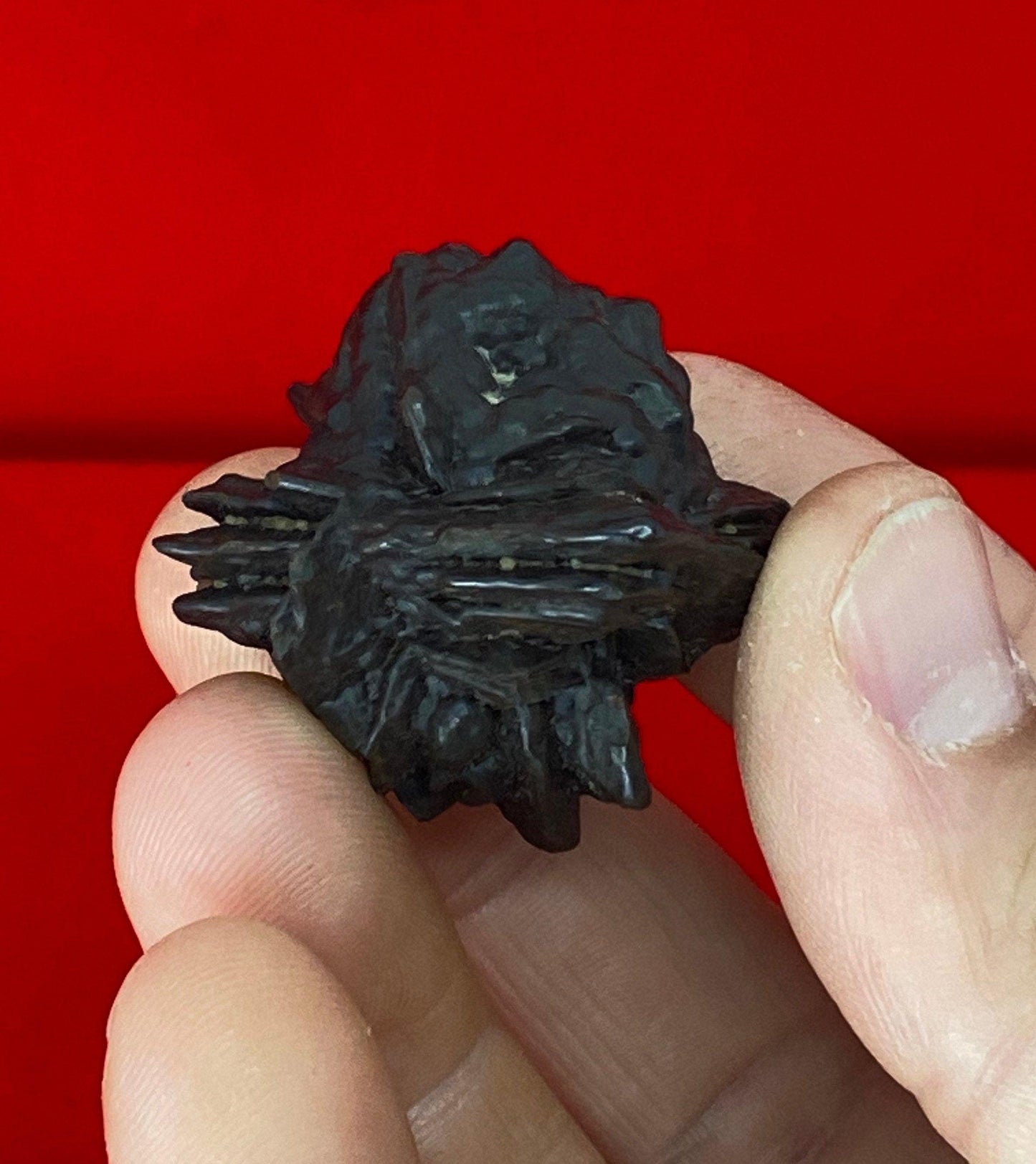 Prophecy Stone from Egypt, Authentic, Inner Vision, Rare Stone, Dreamwork stone, A very unique shape with plenty of features, Reiki, 32.26g