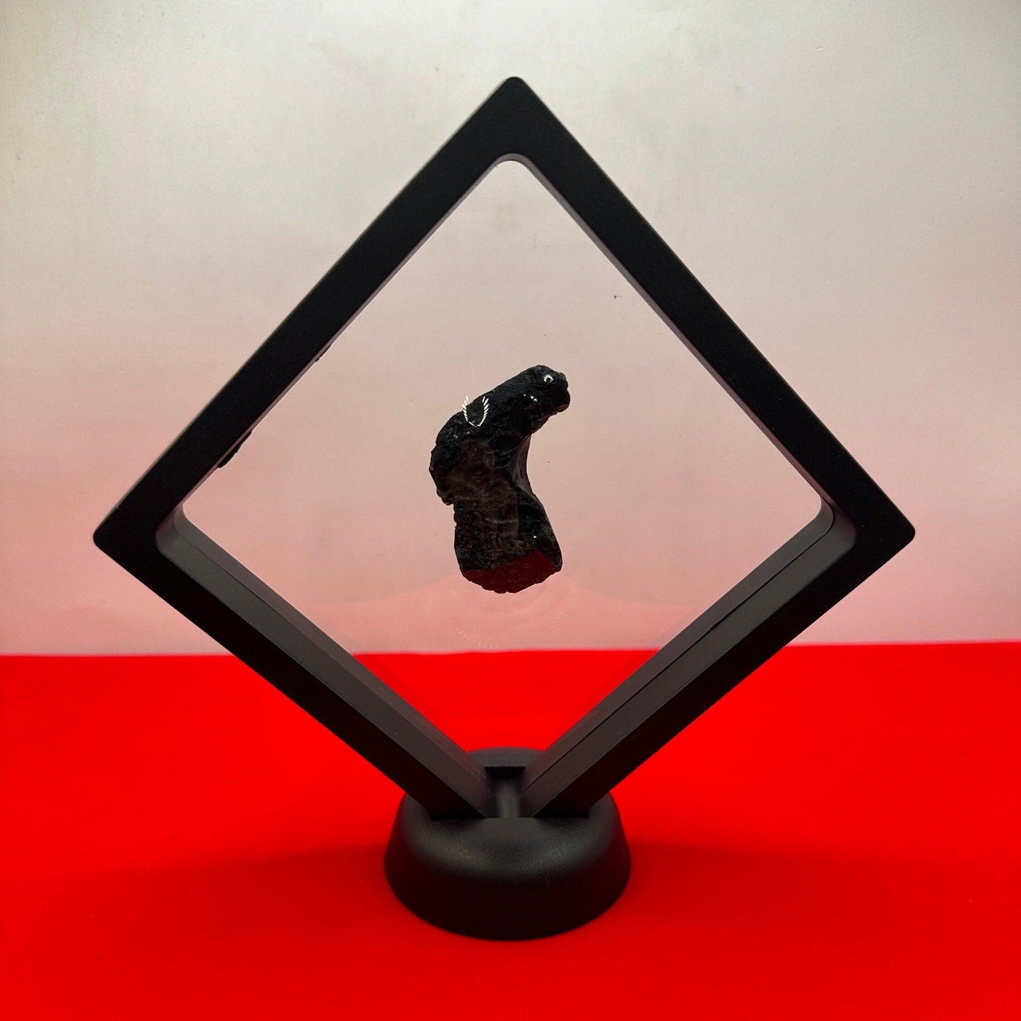 Display Case, Large Display Case, Mineral 3D Display Case with stand, Meteorite Collection, Rock Collection, Collection Display