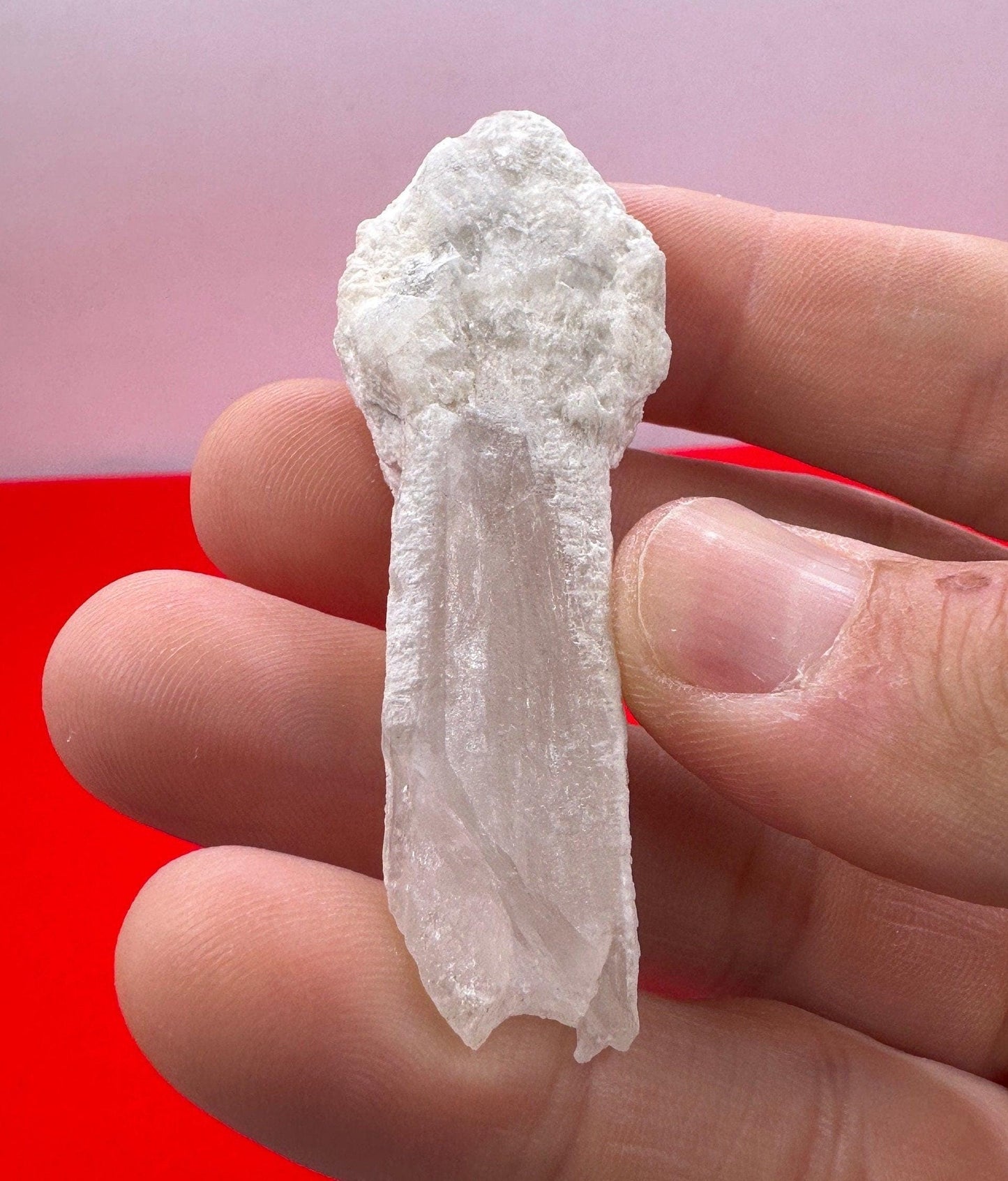 Rare Scepter Quartz with Kaolinite, Scepter Quartz, Brazil, Natural Crystal, White Mushroom, Quartz, Rare Stone, Manifestation, 18.75 grams