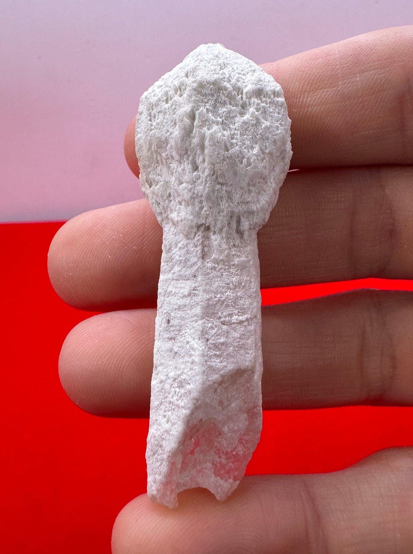 Rare Scepter Quartz with Kaolinite, Scepter Quartz, Brazil, Natural Crystal, White Mushroom, Quartz, Rare Stone, Manifestation, 18.75 grams
