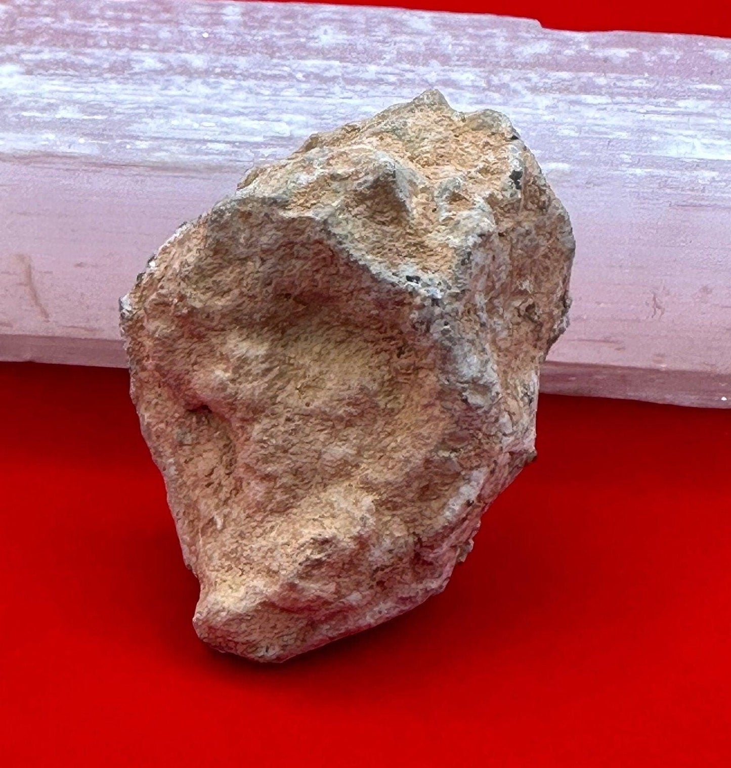 Bechar 007 Moon|Lunar Meteorite, Feldspathic Breccia, Moon Meteorite, Meteorite Collection,Lunar Feldspathic Breccia, 26.61 grams