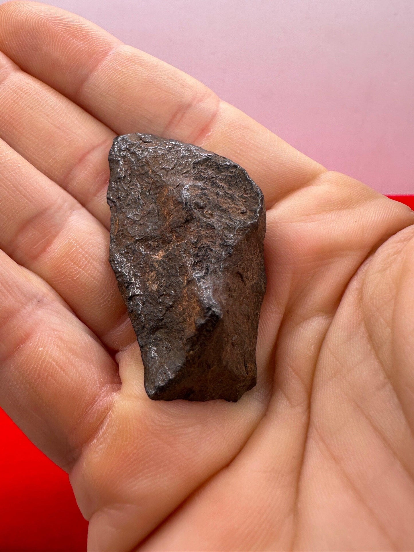 Canyon Diablo Meteorite Specimen, Arizona, 52.96 grams, Rare Meteorite, Iron Meteorite, Astronomy Gift, Space Gift, Arizona Meteorite