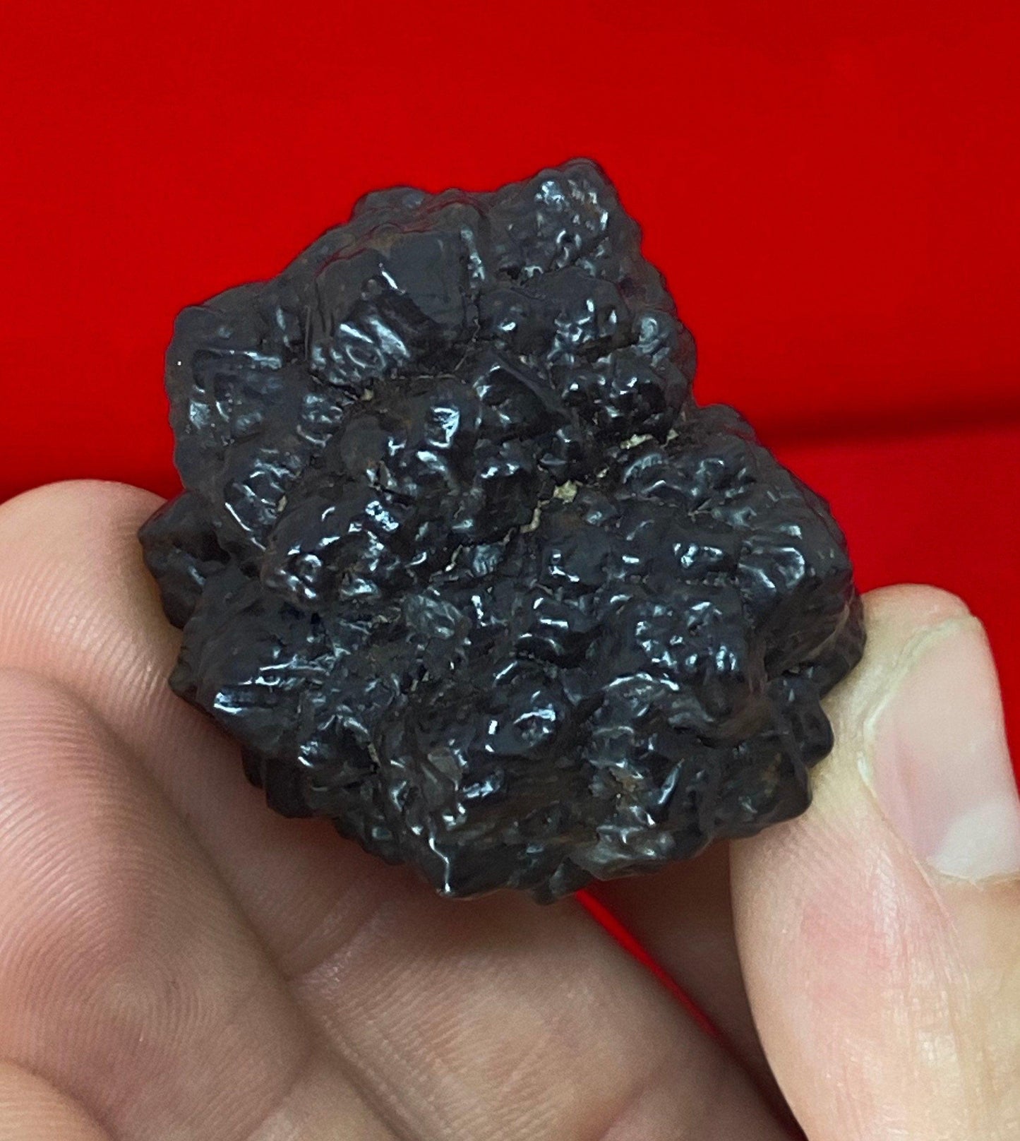 Rare Prophecy Stone from Egypt, Round Stone, Inner Vision, Dreamwork stone, Reiki, Energy Work, Dreams, Rock Collection, 63.79 grams