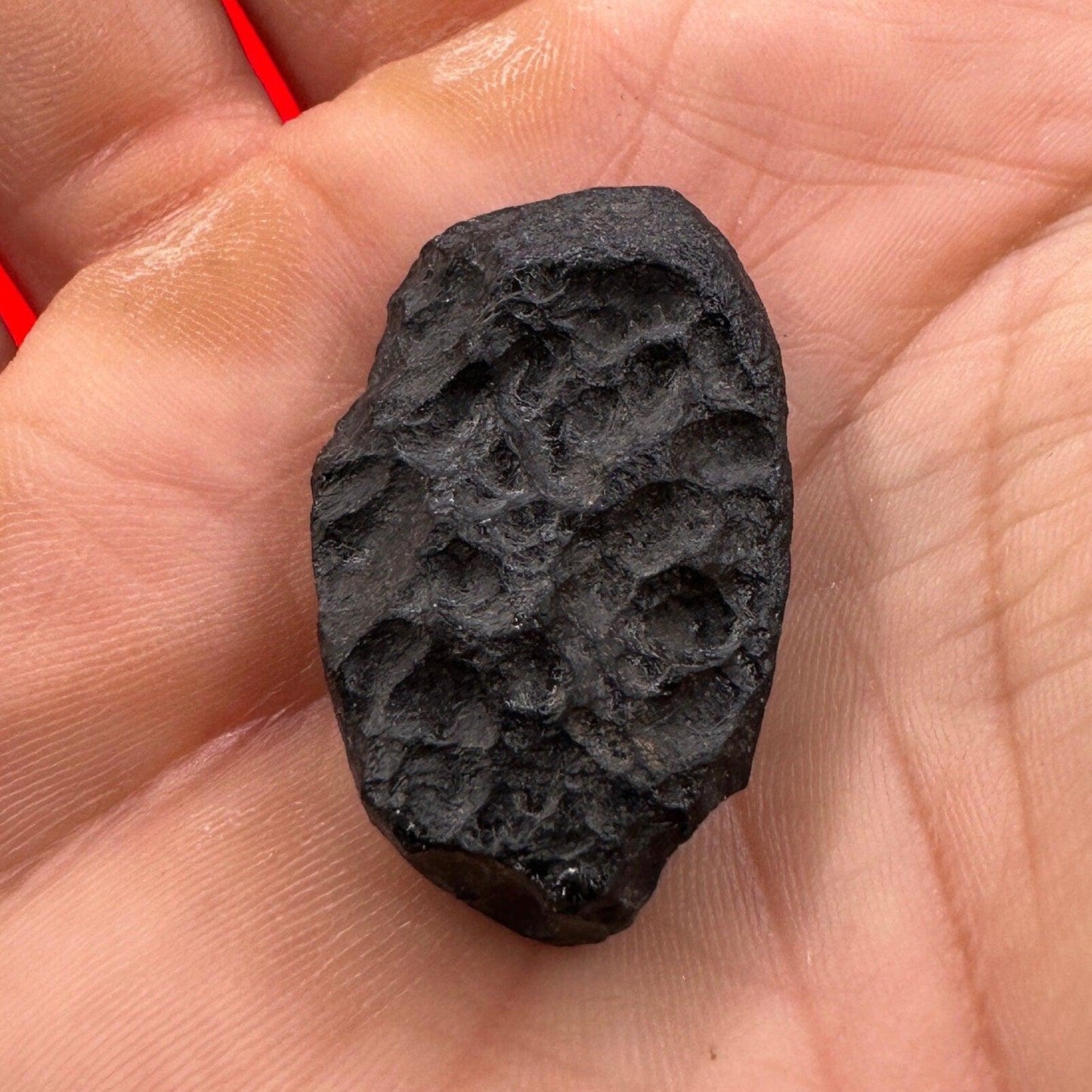 Beautiful Tektite, Indonesia, Indochinite Tektite, Rock Impactite, Energy Work, Reiki, 9.09 grams, Astronomy Gift, Tektite, Space Gift
