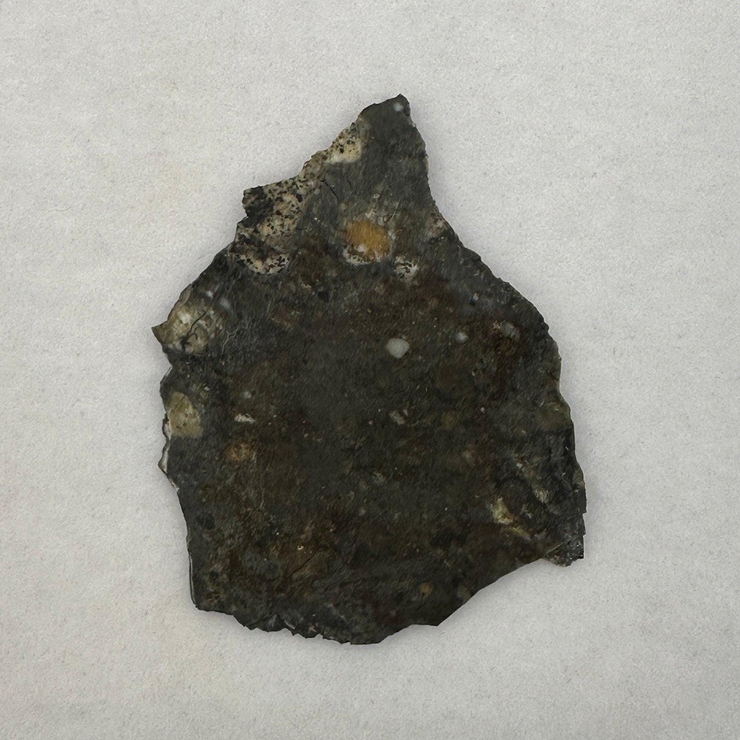 NWA 11182 Moon|Lunar Meteorite Slice, Rare Moon Meteorite, Moon, Astronomy Gift, Meteorite Collection, Feldspathic Breccia, 3.64 grams