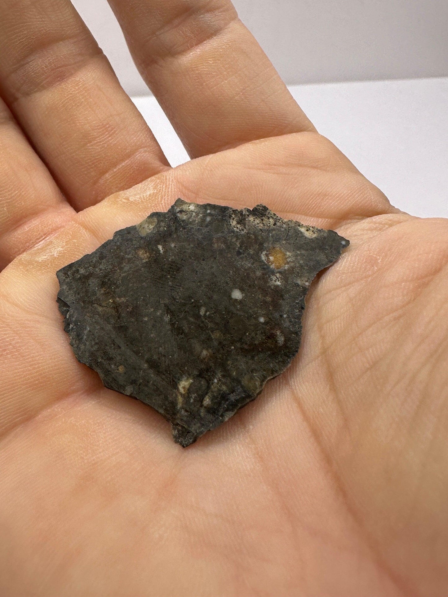 NWA 11182 Moon|Lunar Meteorite Slice, Rare Moon Meteorite, Moon, Astronomy Gift, Meteorite Collection, Feldspathic Breccia, 3.64 grams