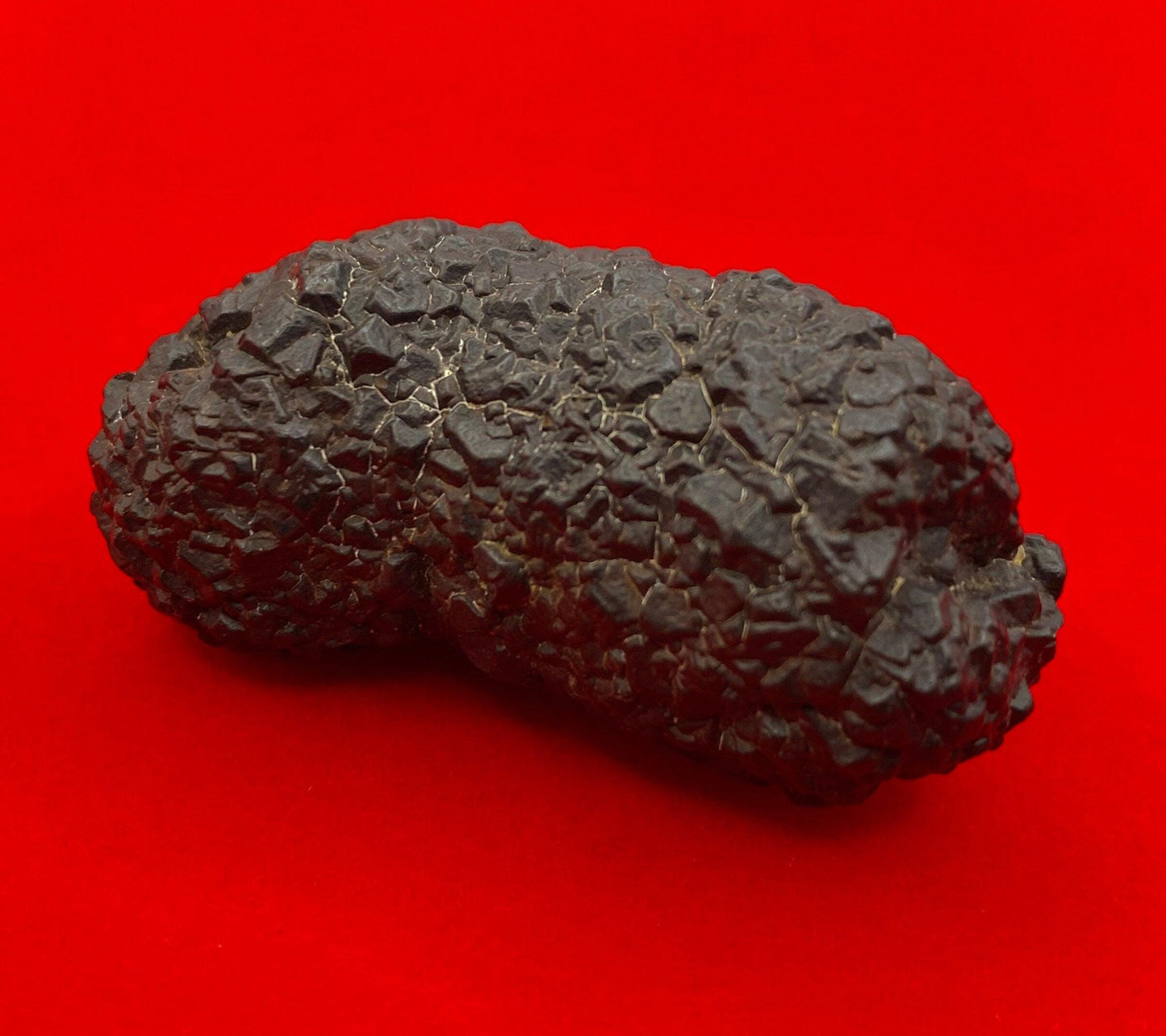 Prophecy Stone from Egypt, Authentic, Inner Vision, Dreamwork stone, Rare and unique shape and features, Reiki, Rock Collection, 61.37 grams