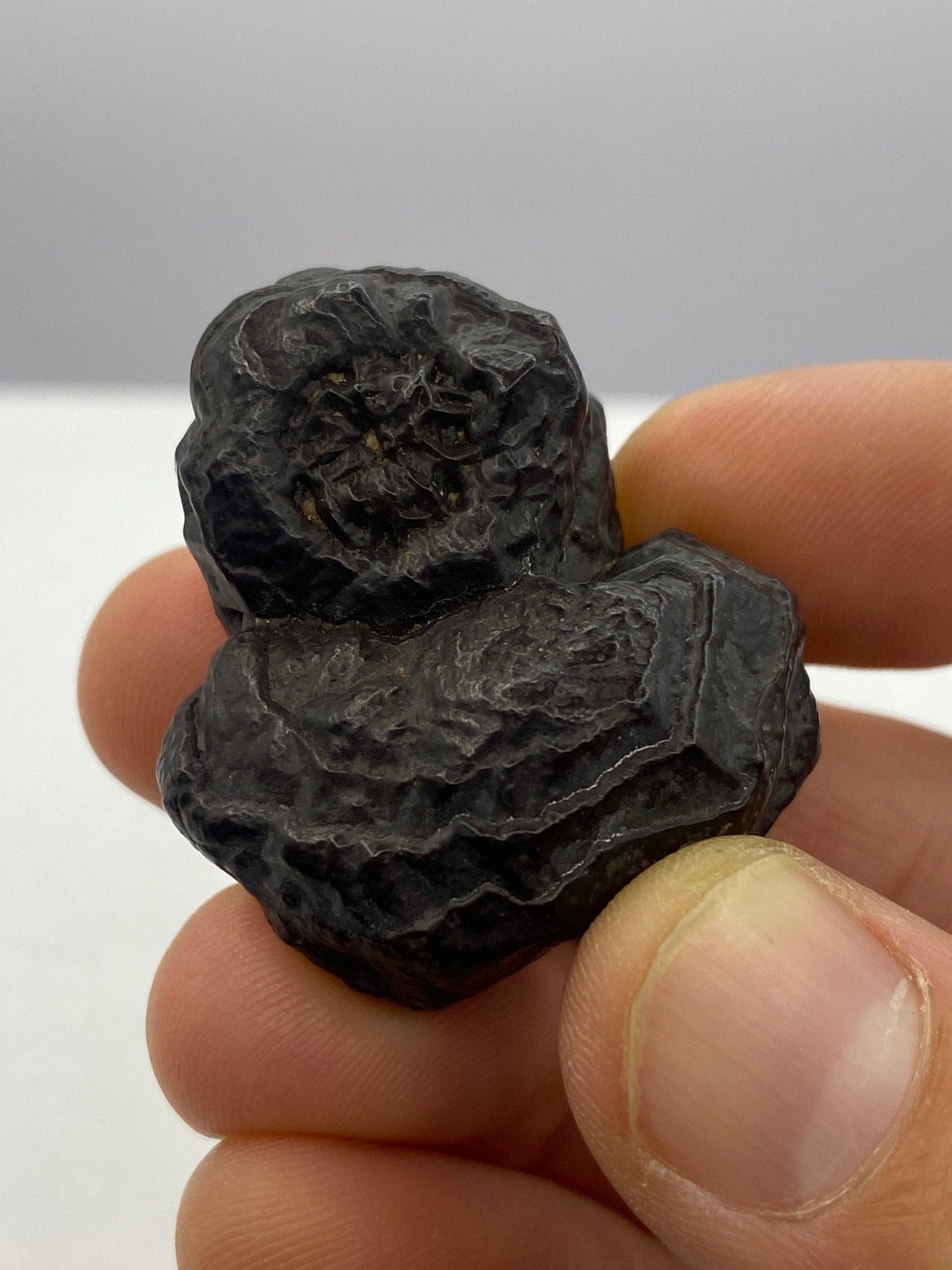 Prophecy Stone from Egypt, Authentic, Inner Vision, Dreamwork stone, Rare and unique shape and features 39.32 grams