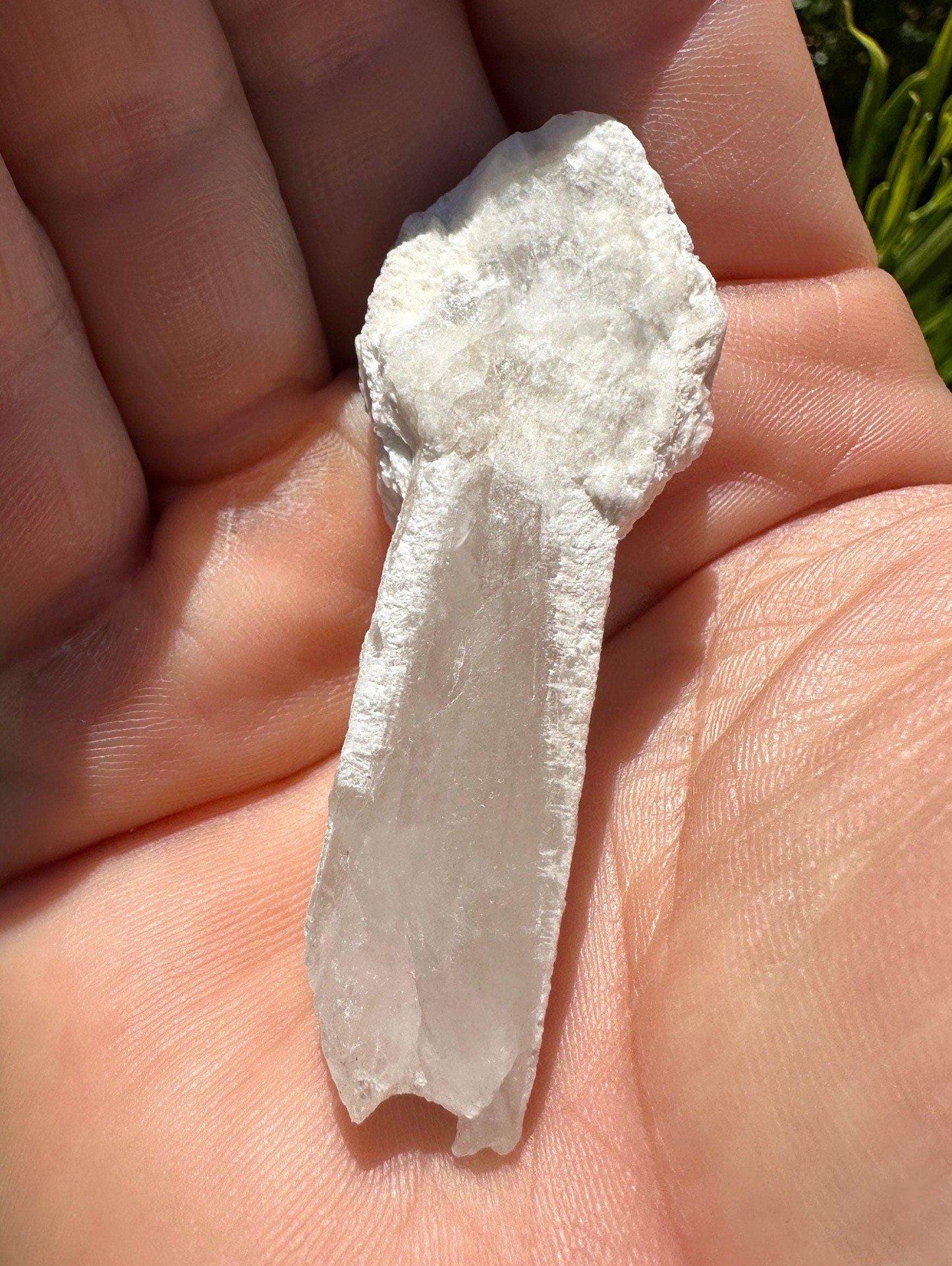 Rare Scepter Quartz with Kaolinite, Scepter Quartz, Brazil, Natural Crystal, White Mushroom, Quartz, Rare Stone, Manifestation, 18.75 grams