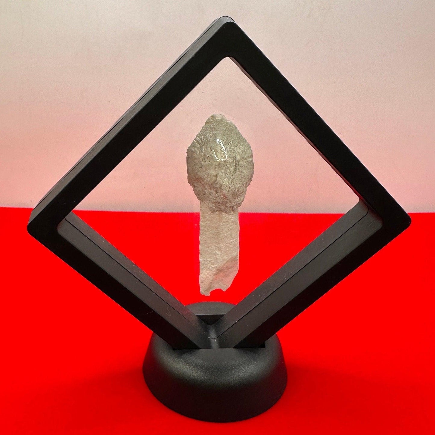 Rare Scepter Quartz with Kaolinite, Scepter Quartz, Brazil, Natural Crystal, White Mushroom, Quartz, Rare Stone, Manifestation, 18.75 grams
