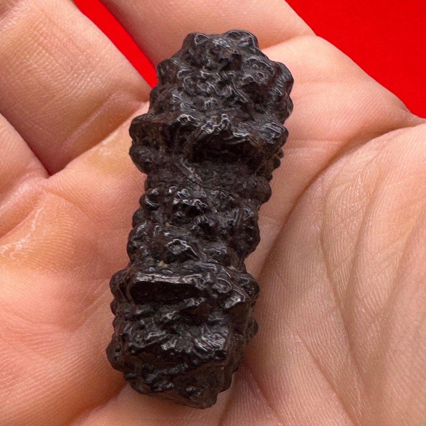 Rare Abstract Prophecy Stone from Egypt, Pinecone Shaped, Dreamwork stone, Reiki, Energy Work, Dreams, Rock Collection, 25.87 Grams