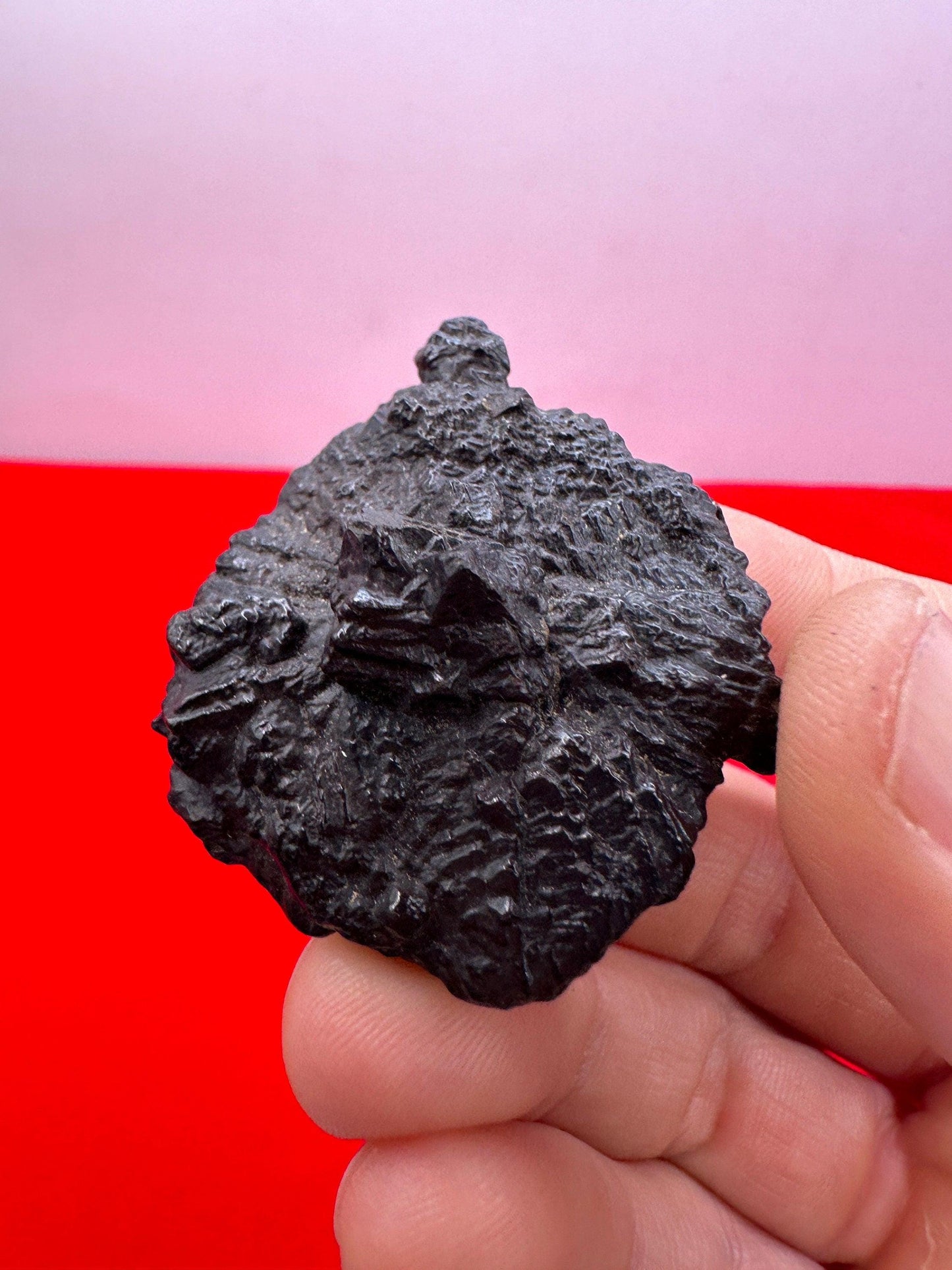 Rare Abstract Spiked Prophecy Stone from Egypt, Inner Vision, Dreamwork stone, Reiki, Energy Work, Dreams, Rock Collection, 44.29 Grams