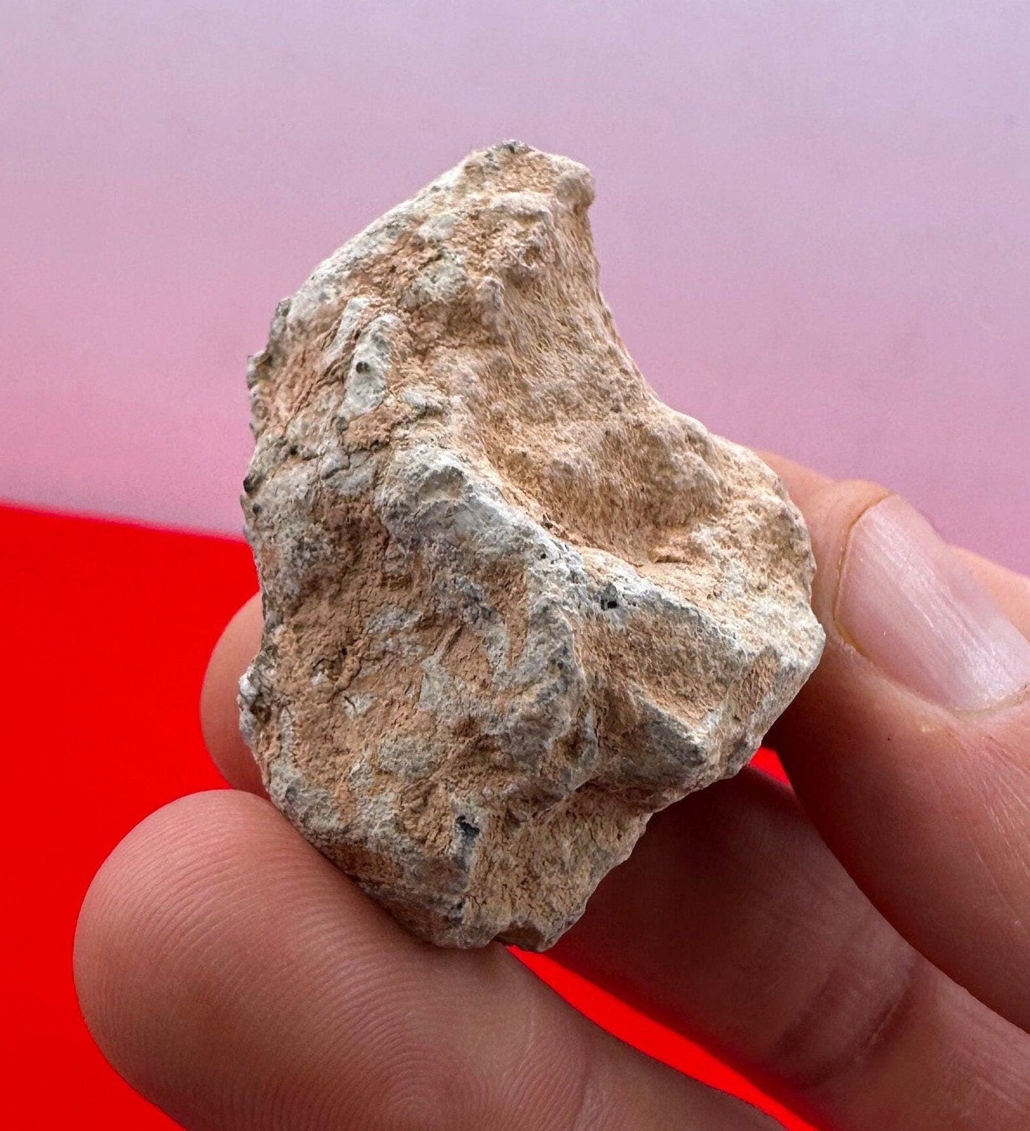 Bechar 007 Moon|Lunar Meteorite, Feldspathic Breccia, Moon Meteorite, Meteorite Collection,Lunar Feldspathic Breccia, 26.61 grams