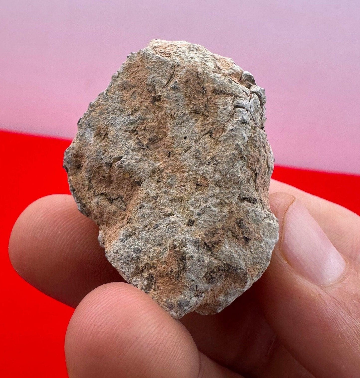 Bechar 007 Moon|Lunar Meteorite, Feldspathic Breccia, Moon Meteorite, Meteorite Collection,Lunar Feldspathic Breccia, 26.61 grams