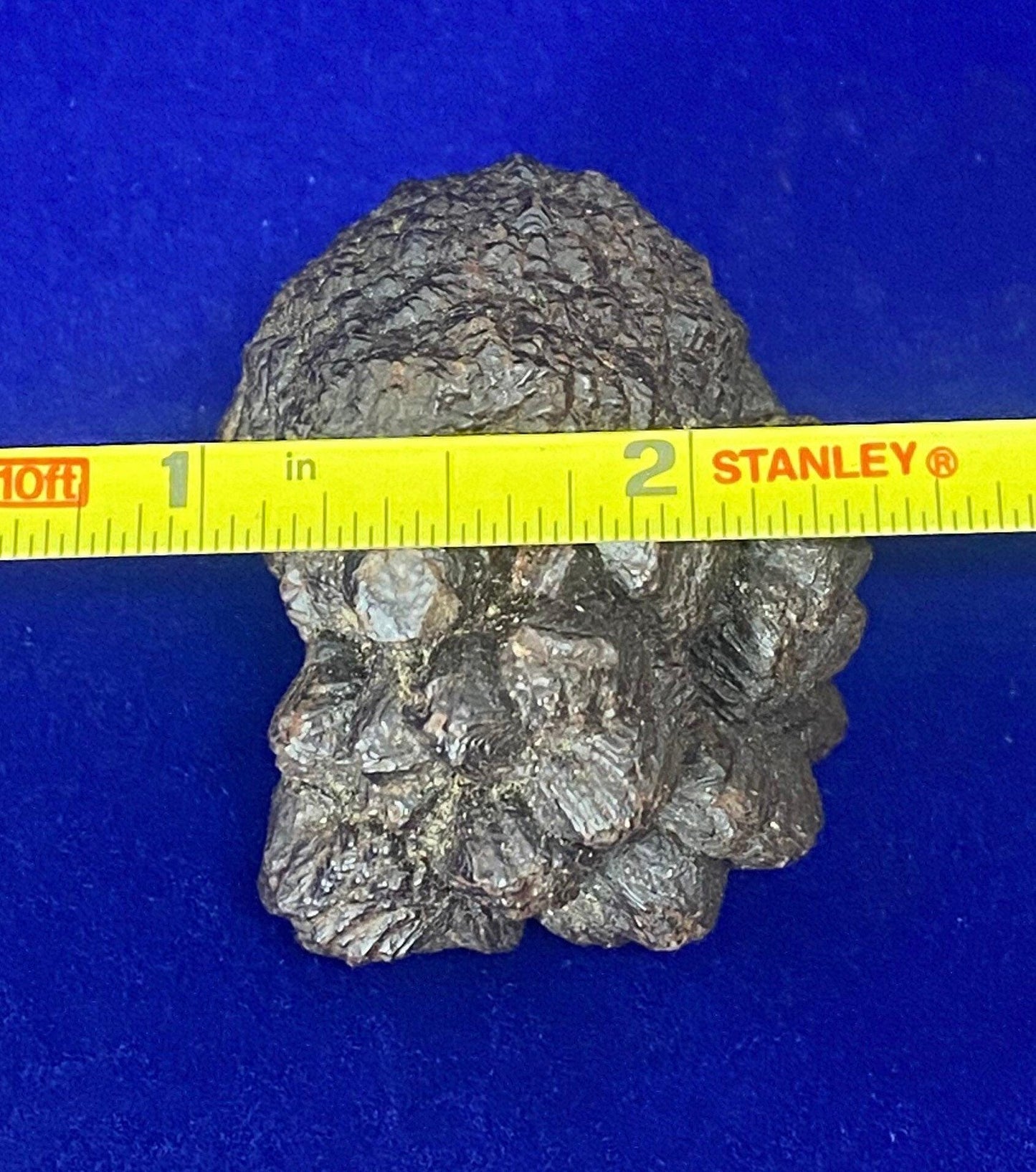 Rare Prophecy Stone from Egypt, Authentic, Inner Vision, Variety of shapes, Dreamwork, Rare and unique shape with plenty of features 100.12g