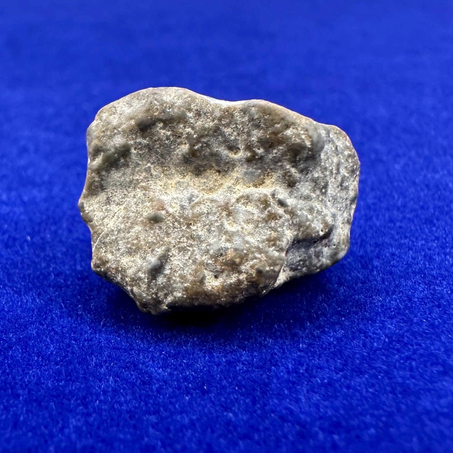 NWA 13974 Moon|Lunar Meteorite, Feldspathic Breccia, Moon Meteorite, Meteorite Collection, Lunar Feldspathic Breccia, 3.09 grams