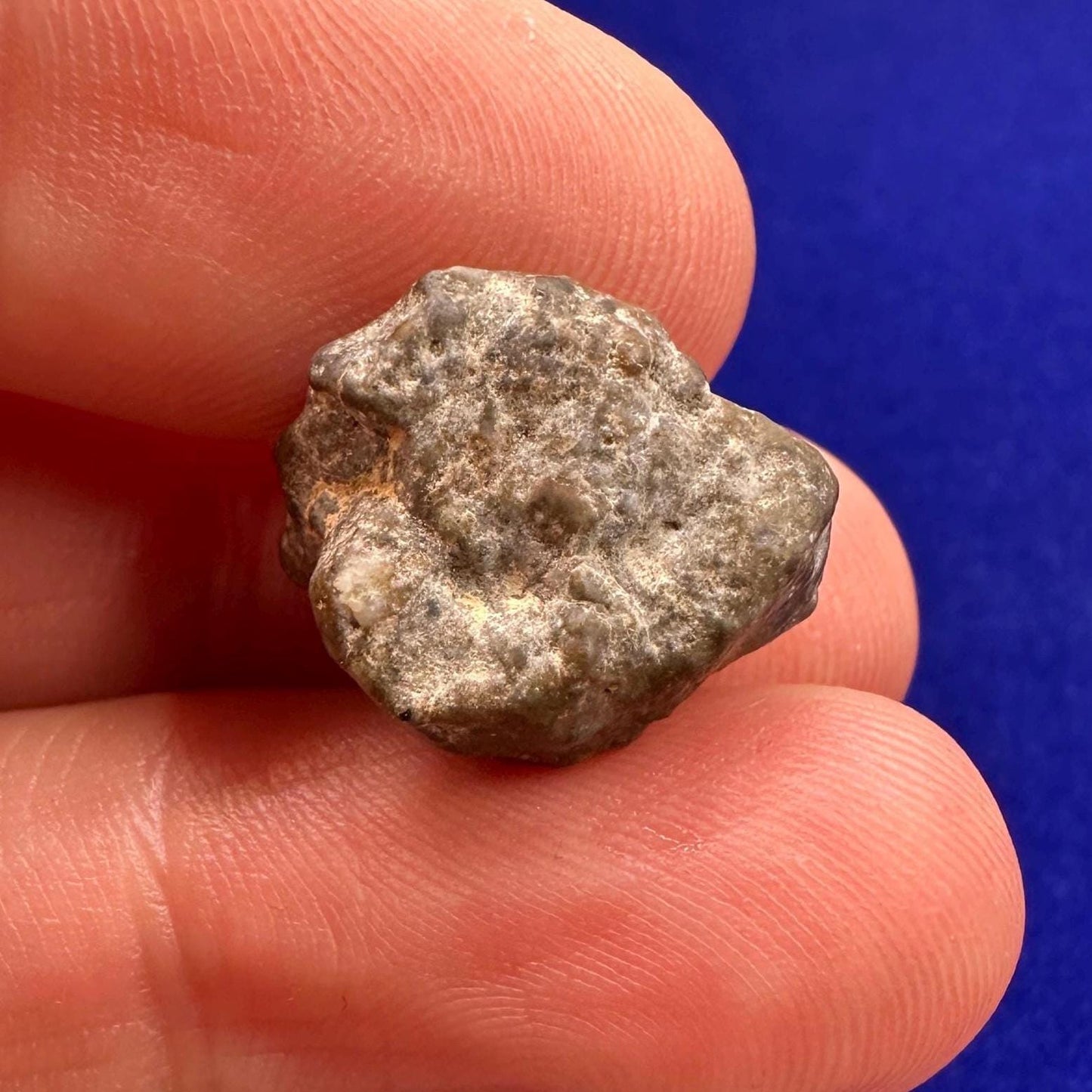 NWA 13974 Moon|Lunar Meteorite, Feldspathic Breccia, Moon Meteorite, Meteorite Collection, Lunar Feldspathic Breccia, 3.09 grams