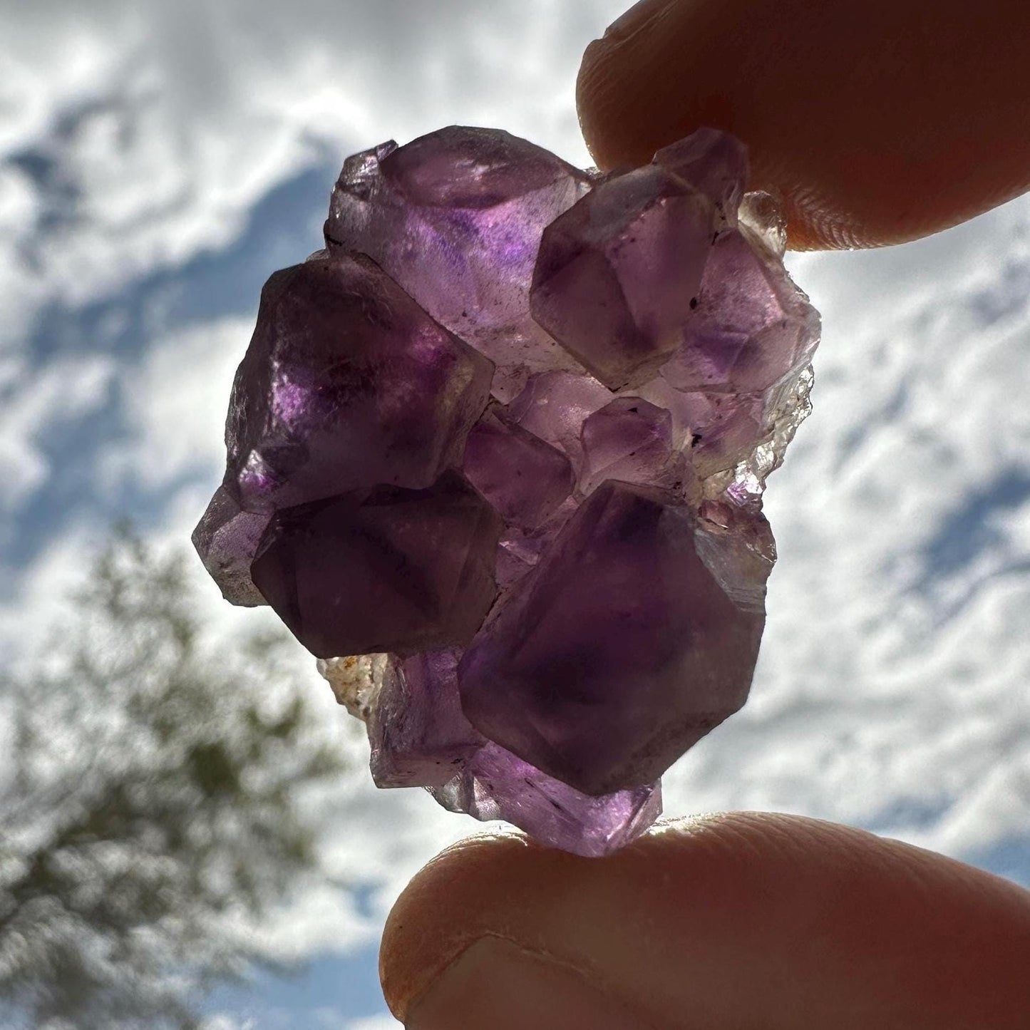 Deep Purple Amethyst Crystal Clusters, Brazilian Amethyst, Raw Amethyst, Crystals, Crystal Collection, Amethyst Quartz, Reiki Healing