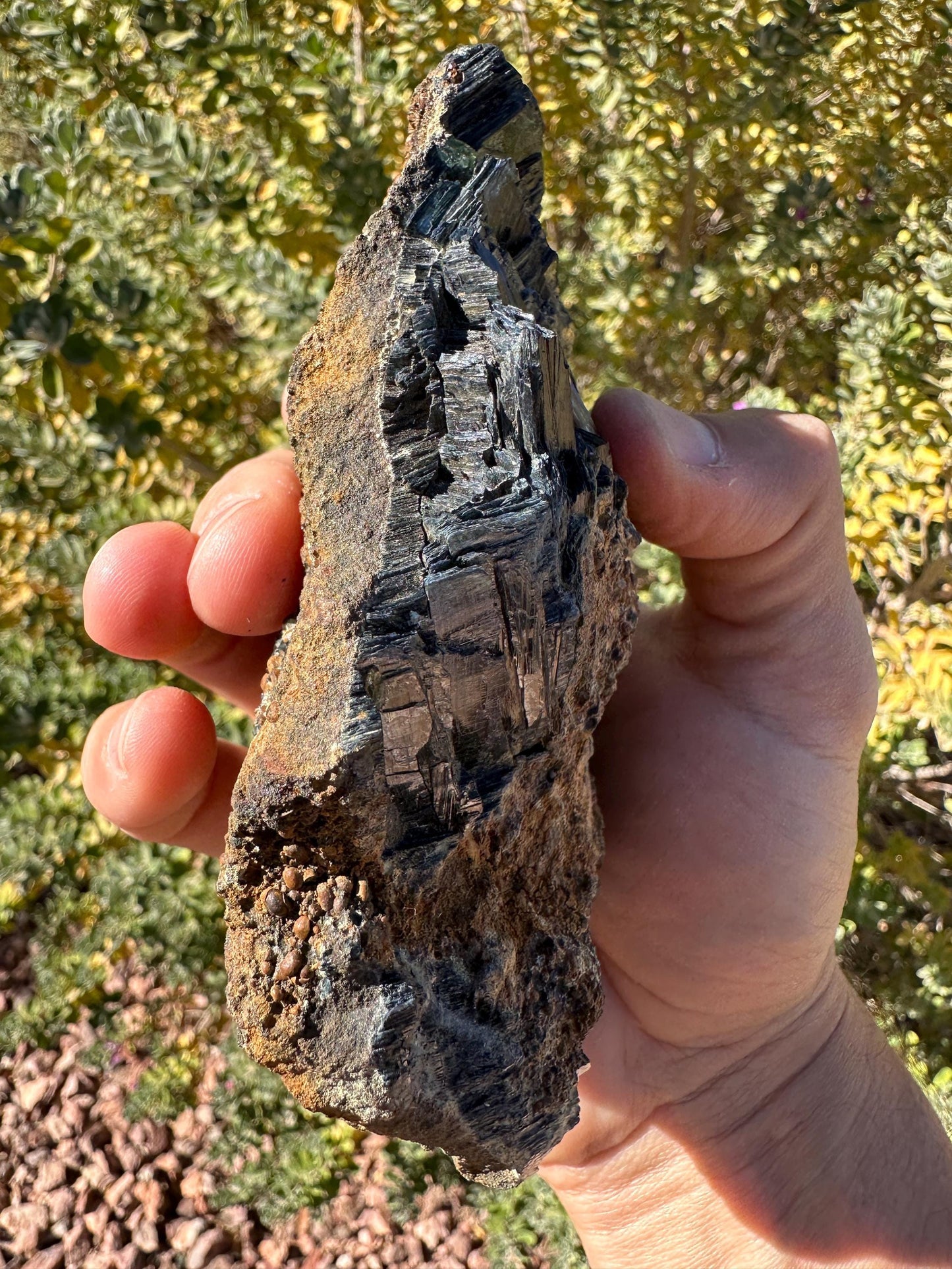Rare Large Vivianite Crystal Specimen, Vivianite, Vivianite, Brazilian Vivianite, Reiki Energy, Crystal Collection, Reiki, 426 Grams/15 oz
