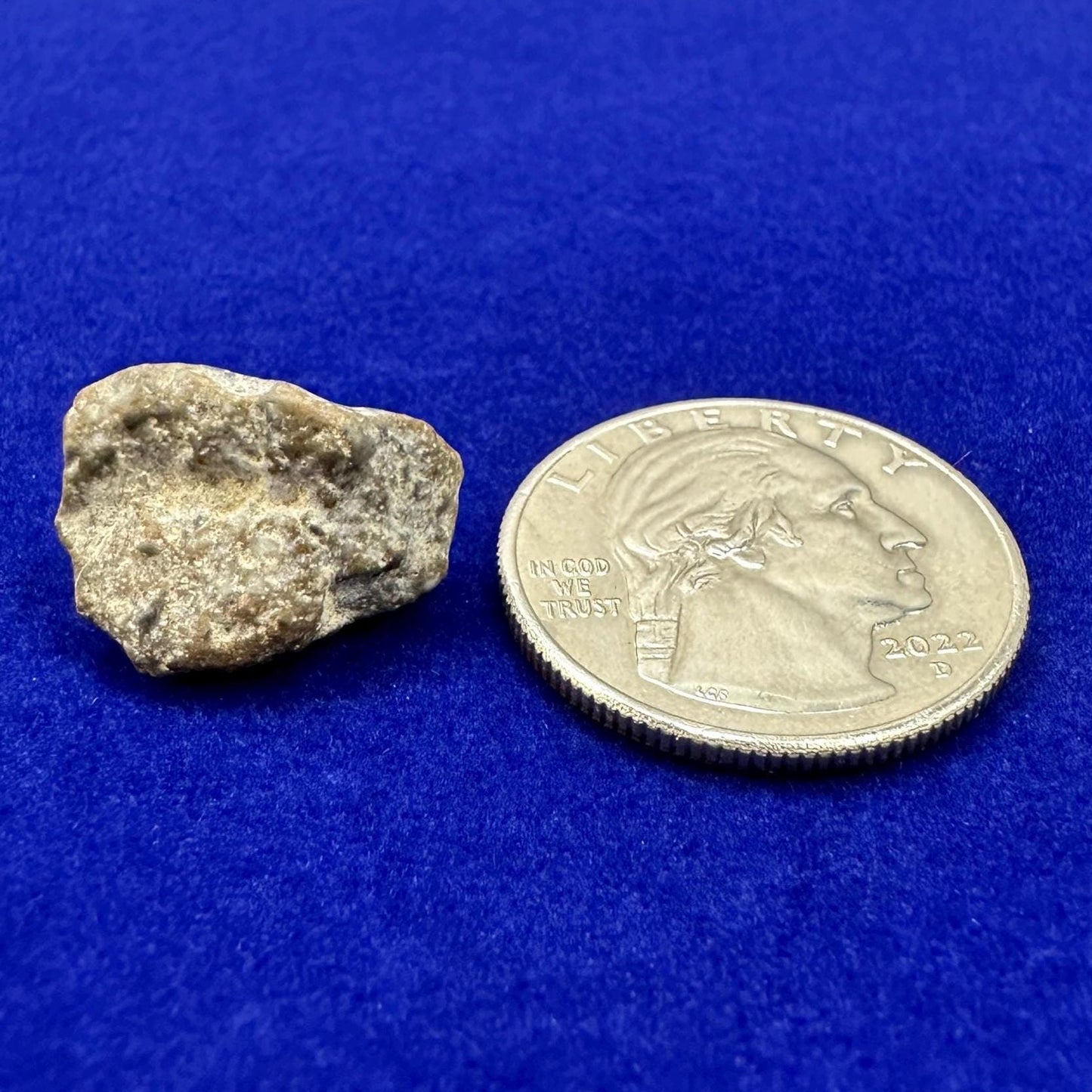 NWA 13974 Moon|Lunar Meteorite, Feldspathic Breccia, Moon Meteorite, Meteorite Collection, Lunar Feldspathic Breccia, 3.09 grams